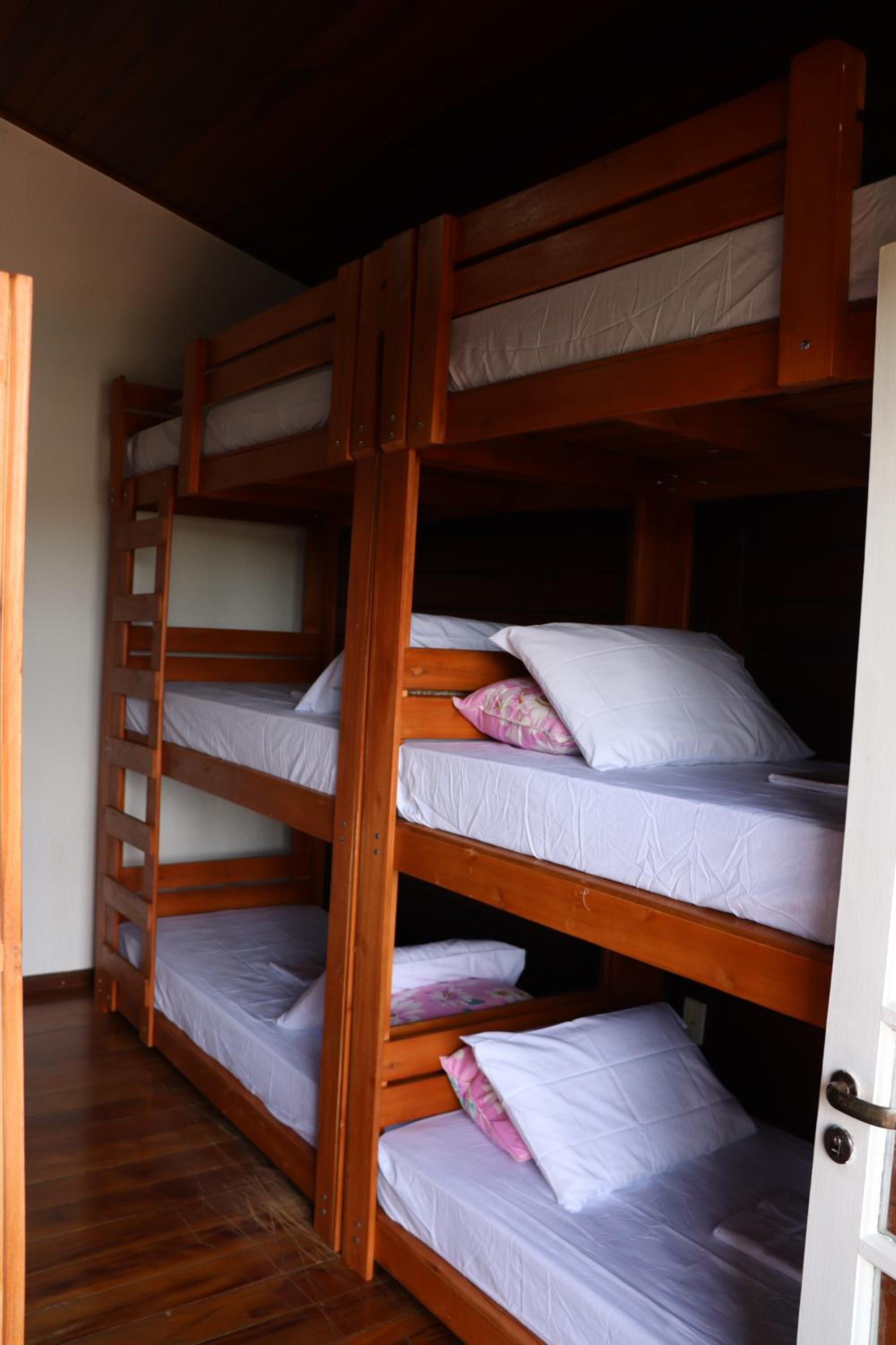 Bunk Bed in Mixed Dormitory Room photo 3