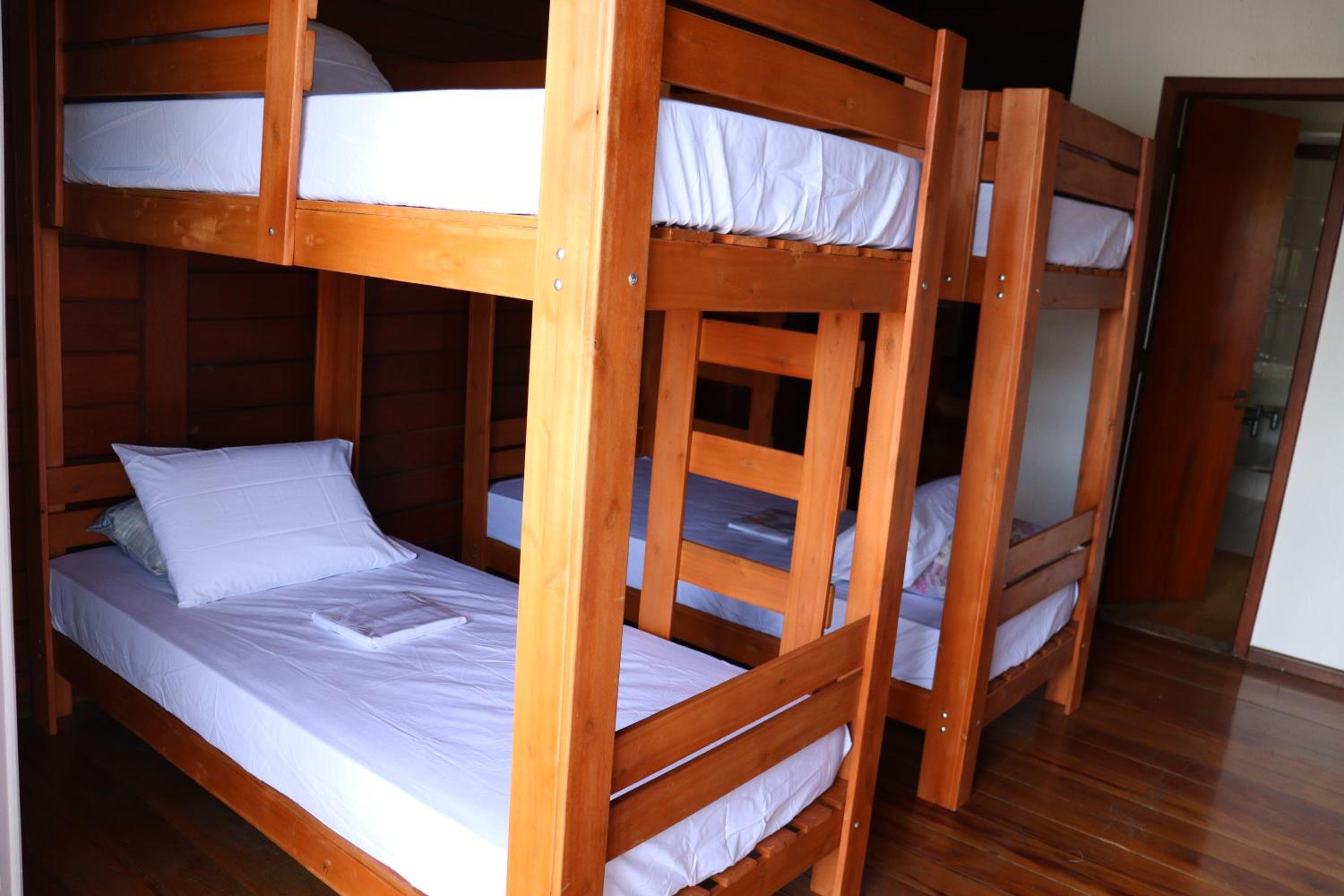Bunk Bed in Mixed Dormitory Room photo 1