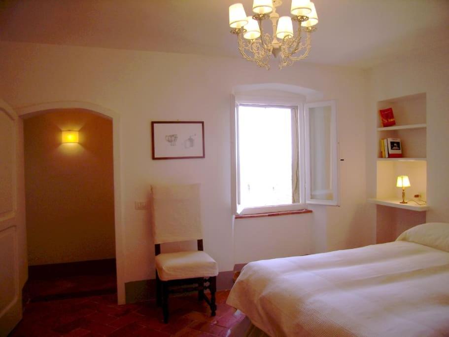 Apartment with Terrace photo 1