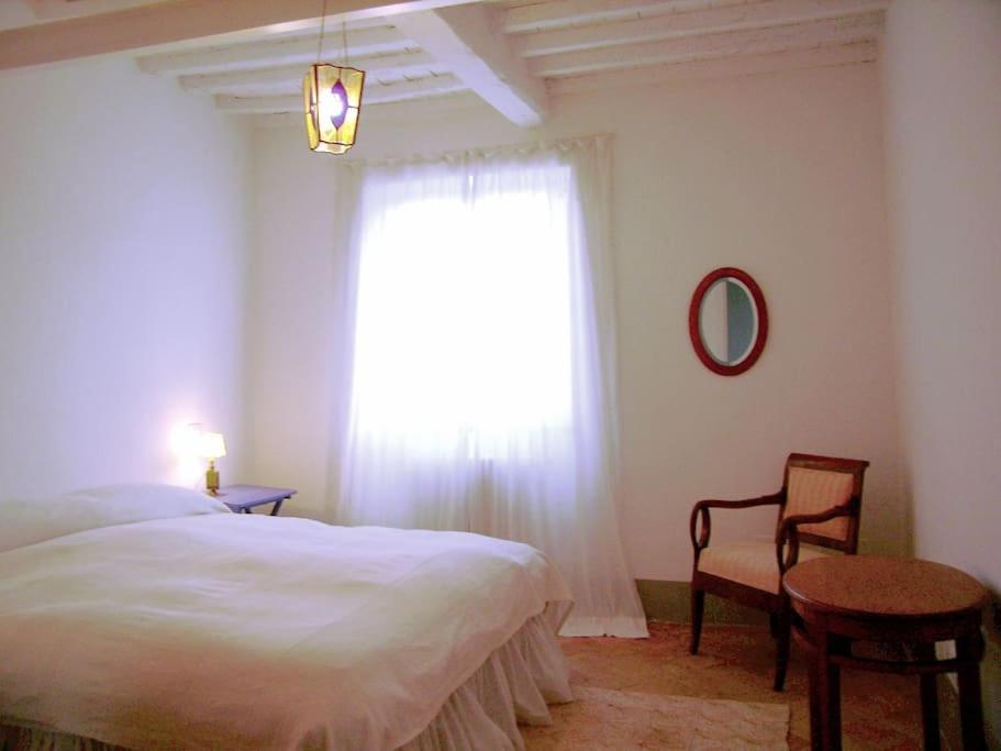 Apartment with Terrace photo 2