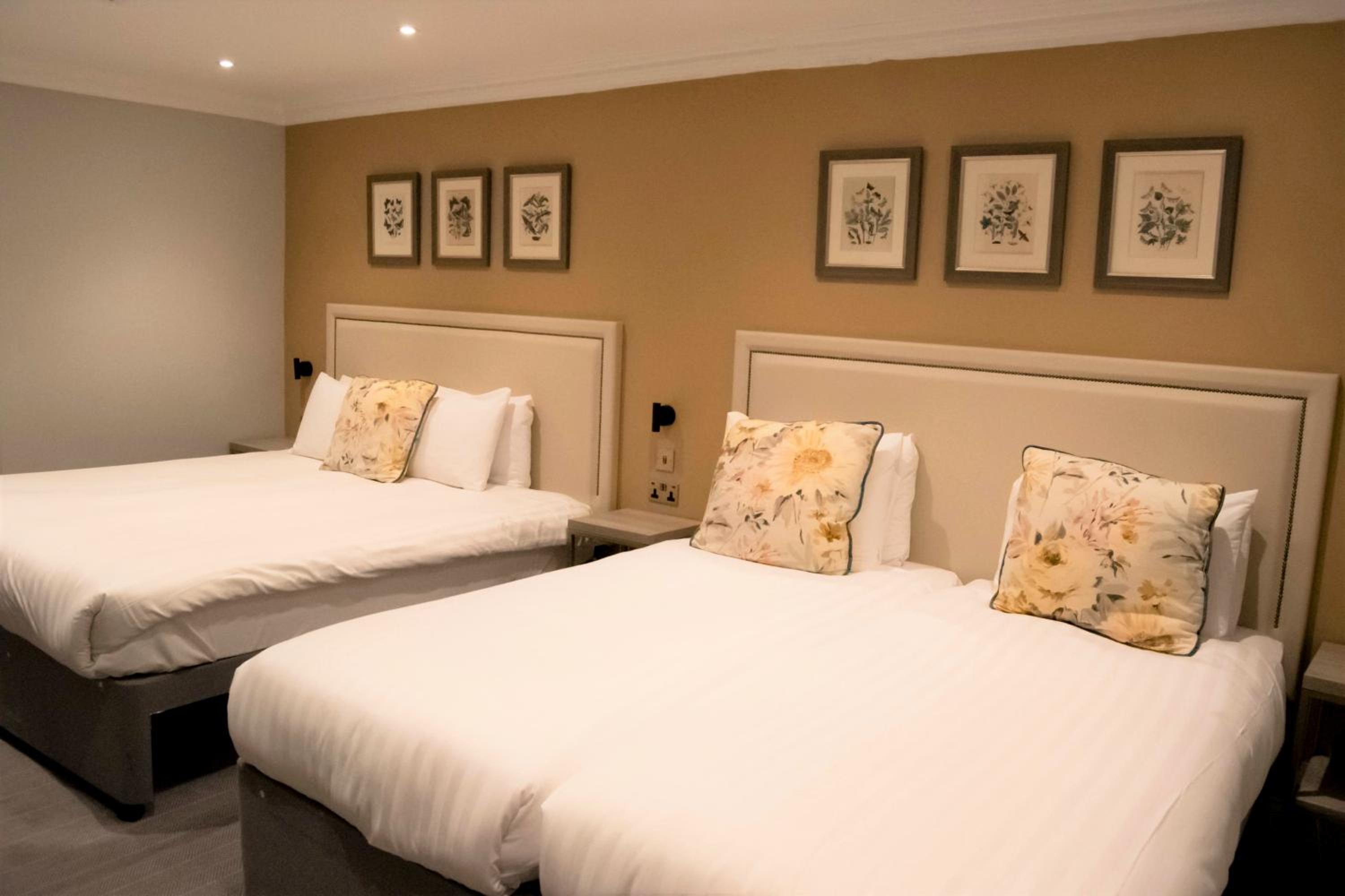 Quadruple Room photo 1