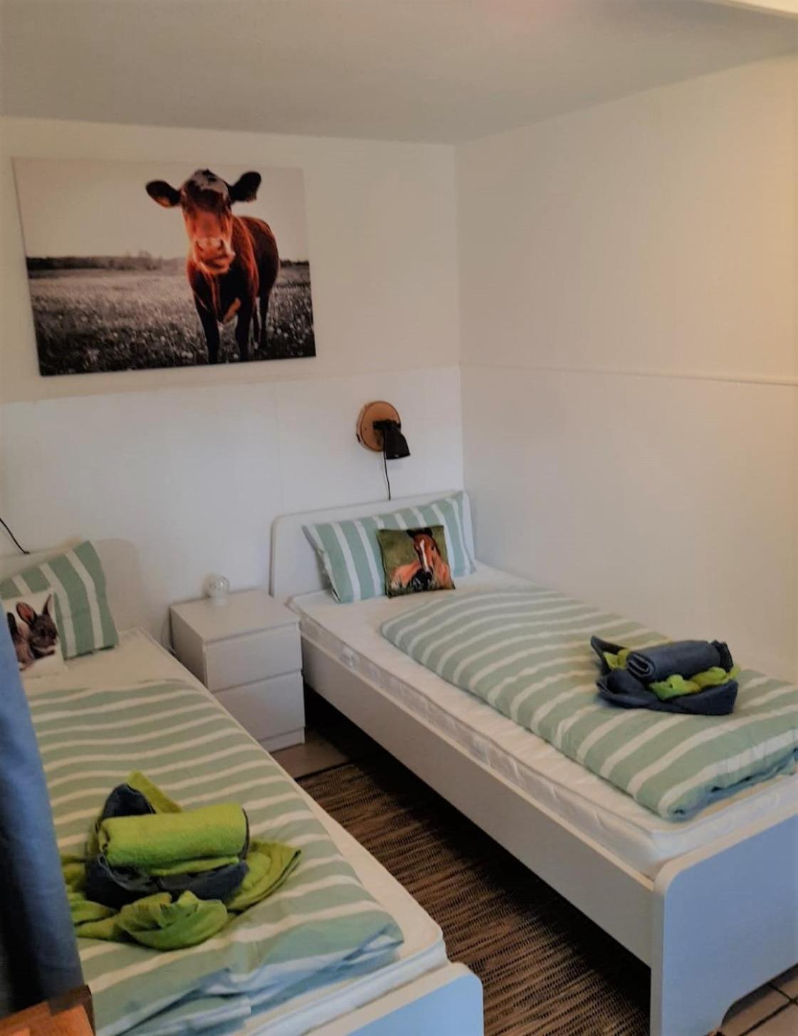 Apartment with Terrace photo 1