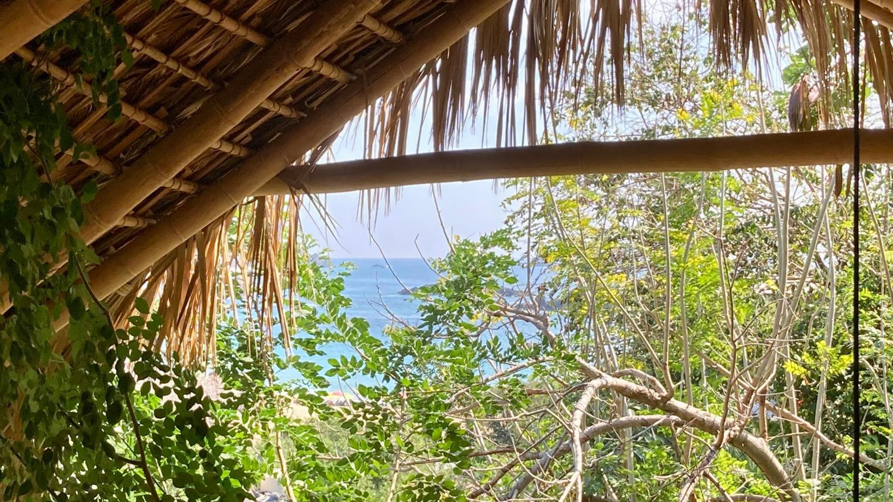Bungalow with Sea View photo 3
