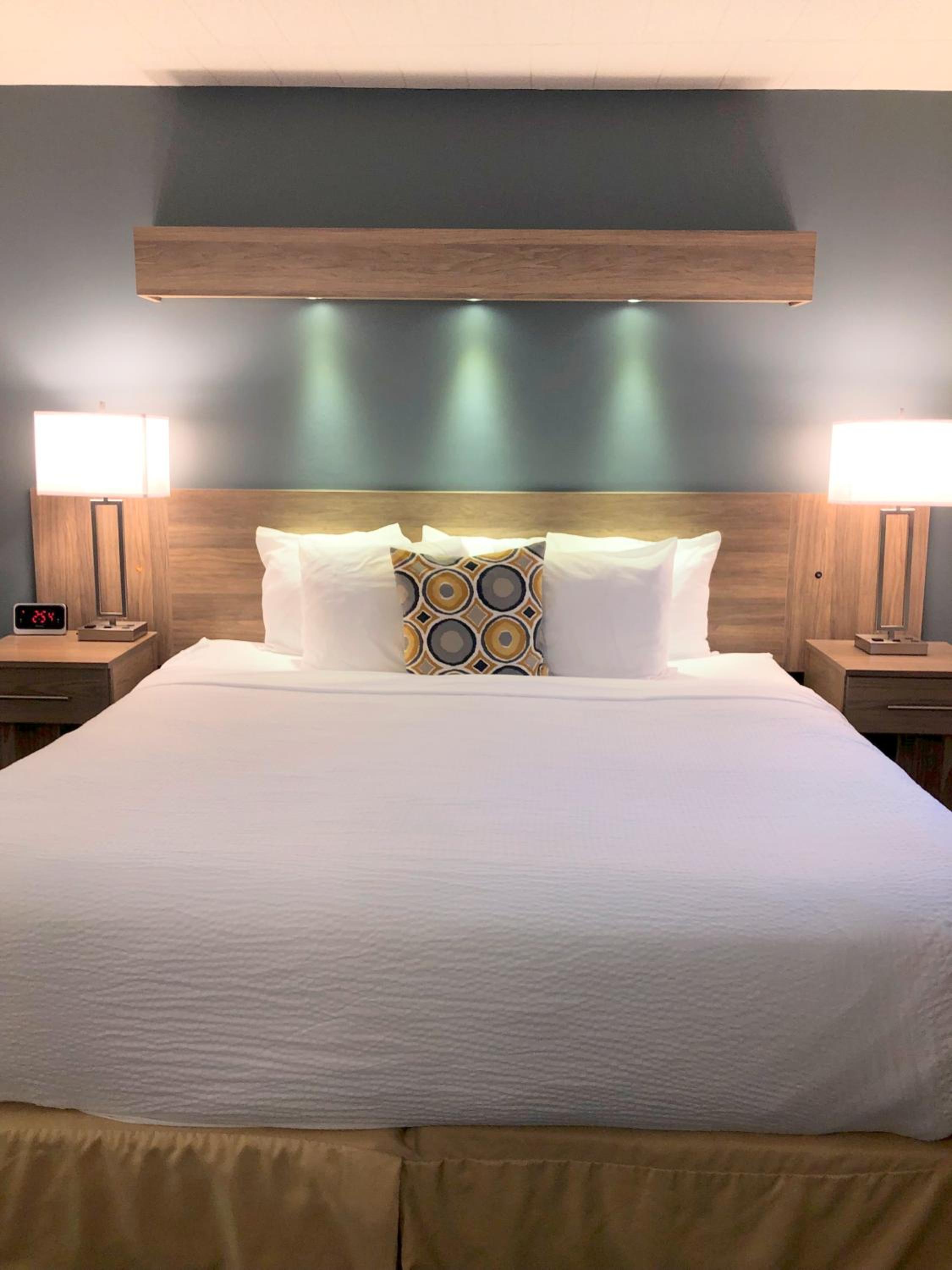 King Room photo 1