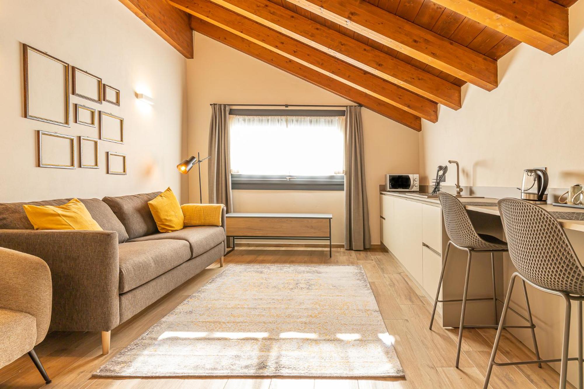 Deluxe Apartment