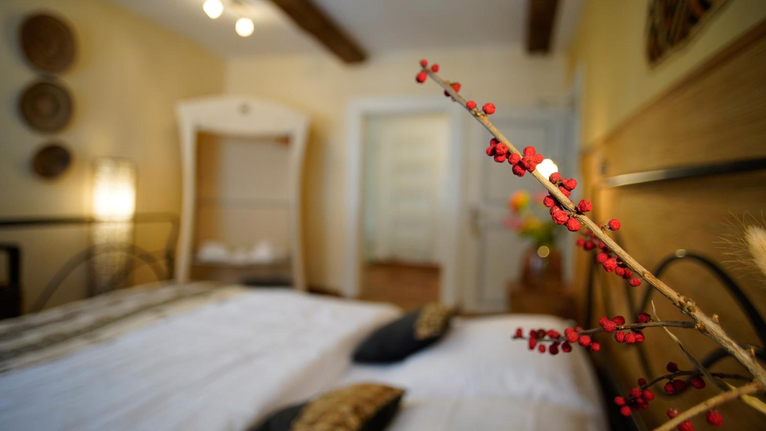 Deluxe Double Room with Shower photo 2