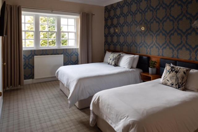 Deluxe Family Room - Pet Friendly