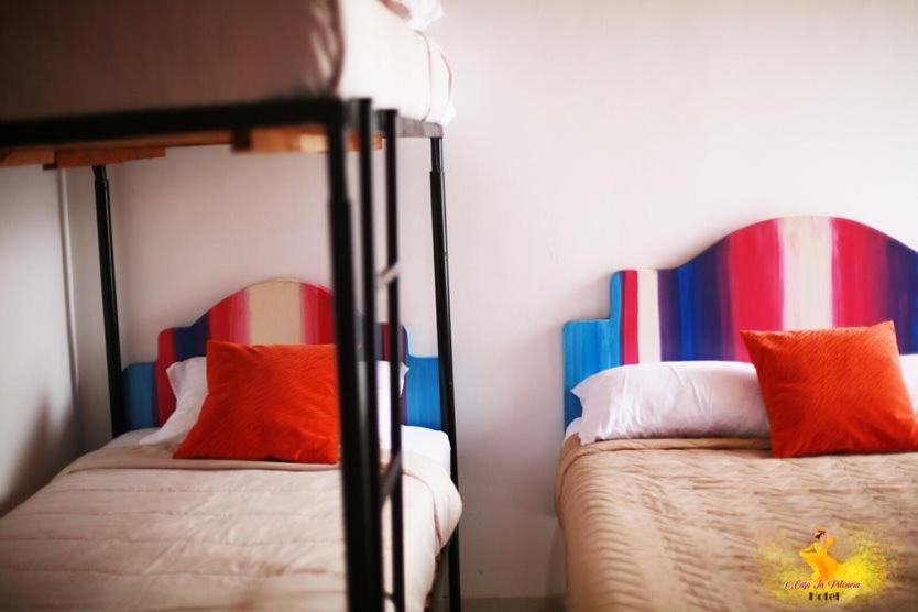 Double or Twin Room photo 2