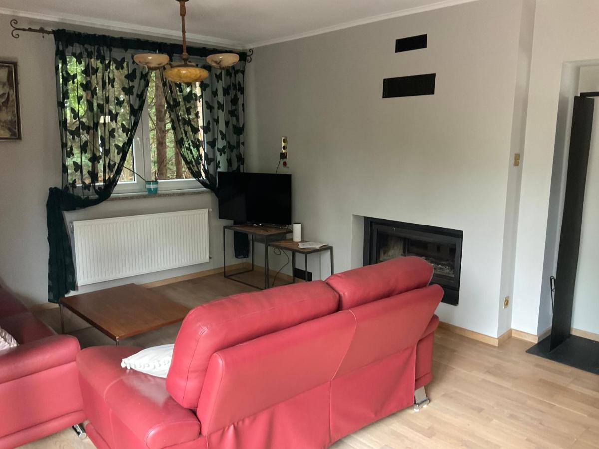 Apartment with Terrace photo 1