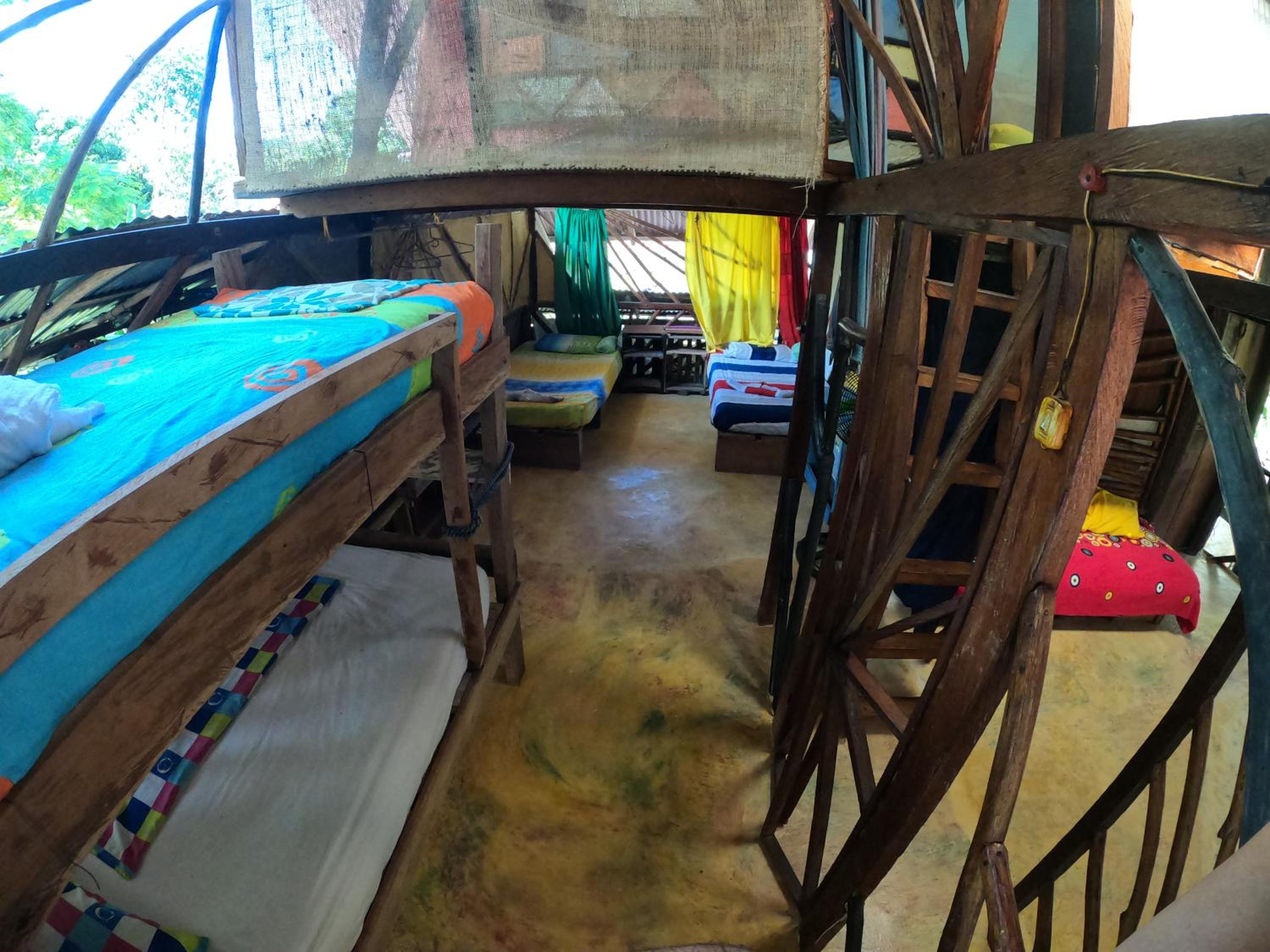 Bed in 4-Bed Dormitory Room photo 1