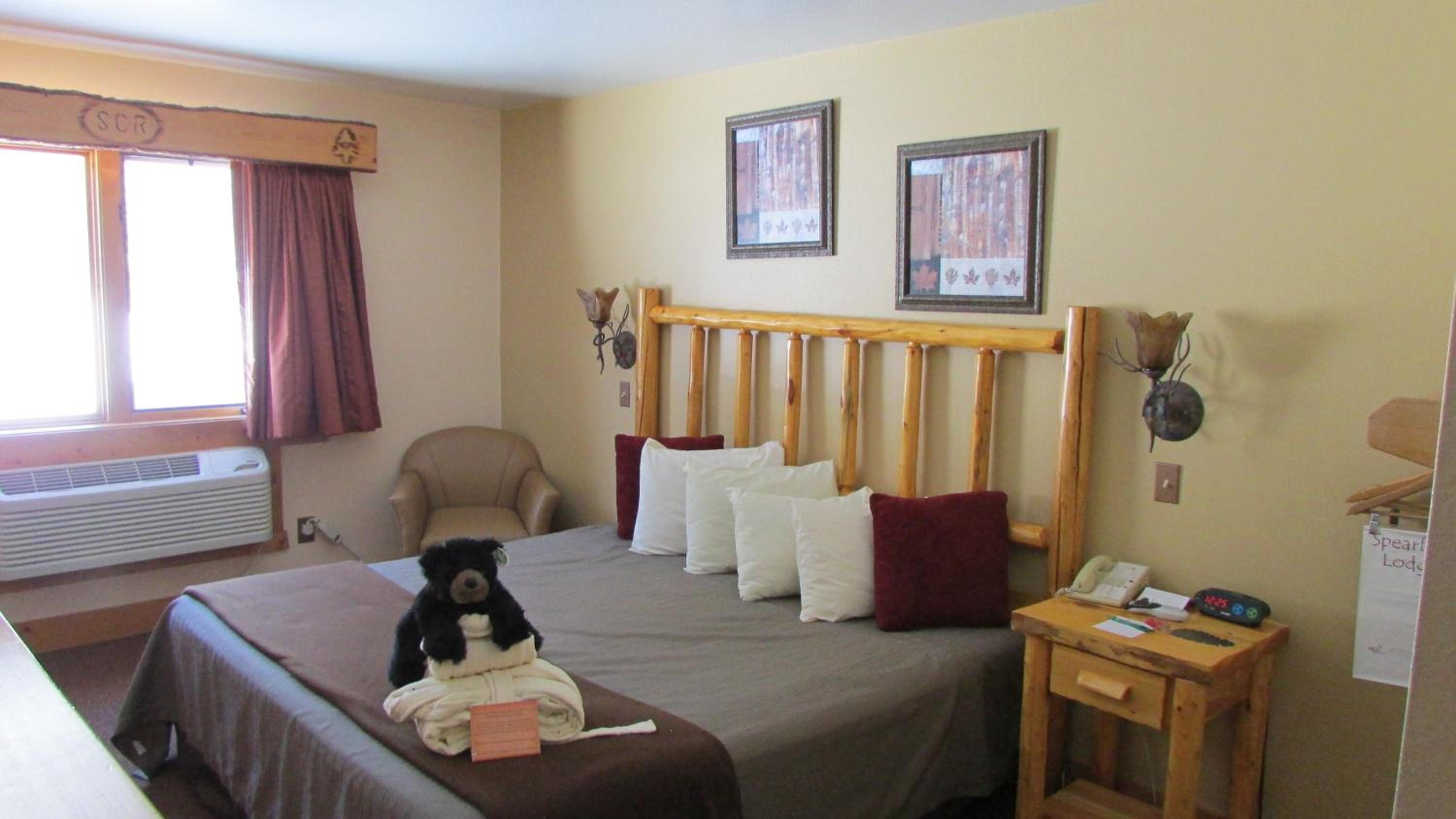 ADA Compliant Premier Room