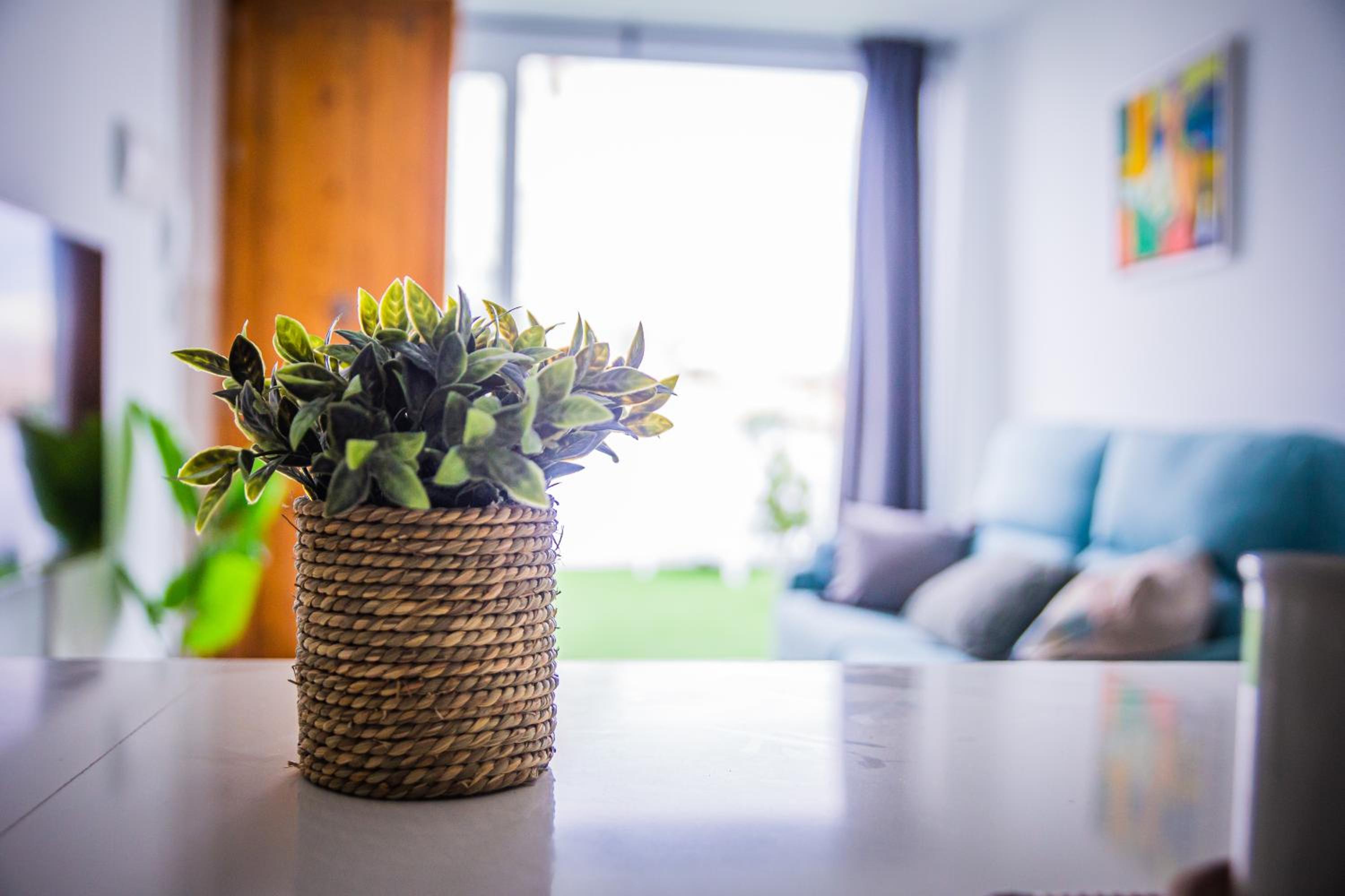 Studio with Terrace photo 2