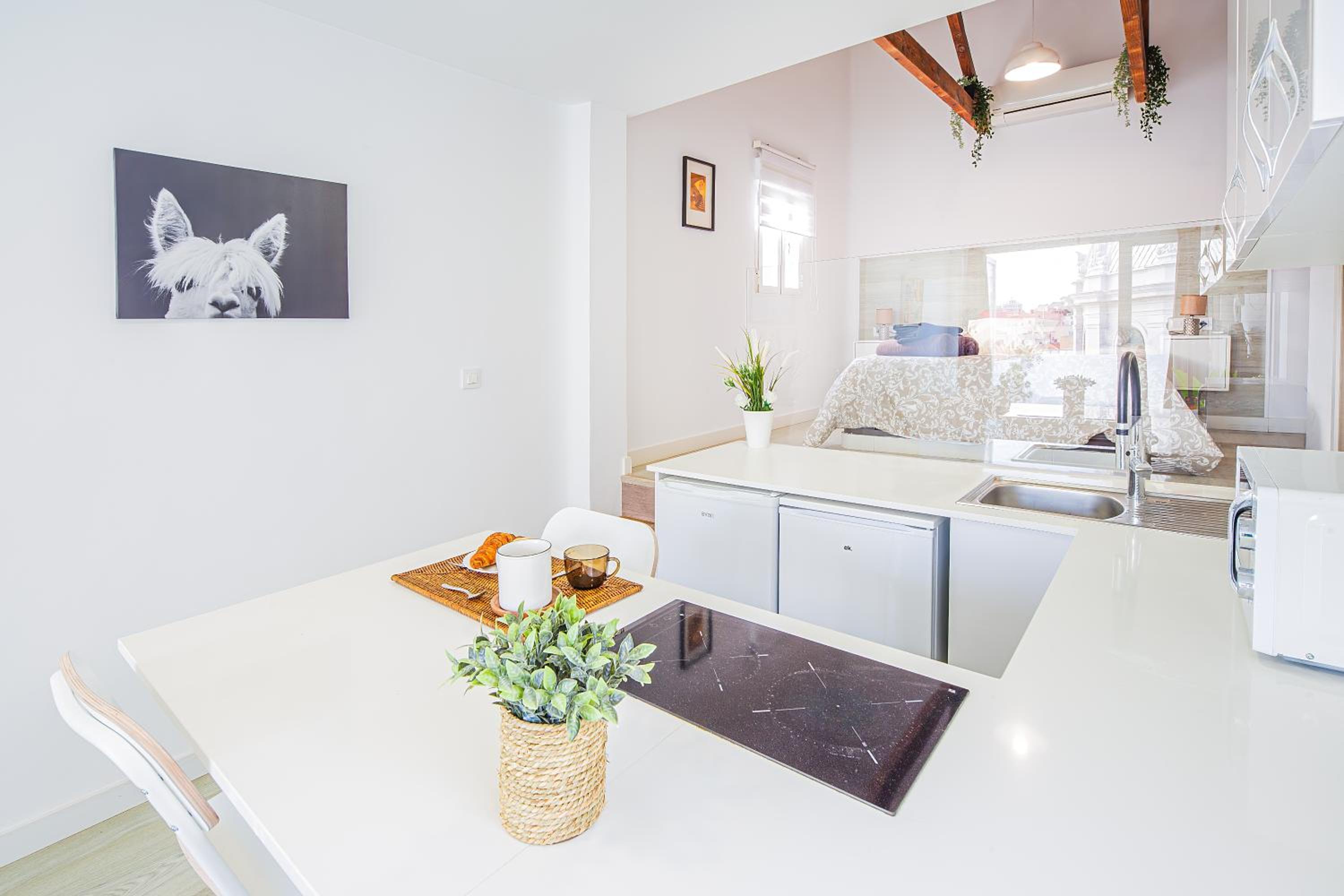 Studio with Terrace photo 3