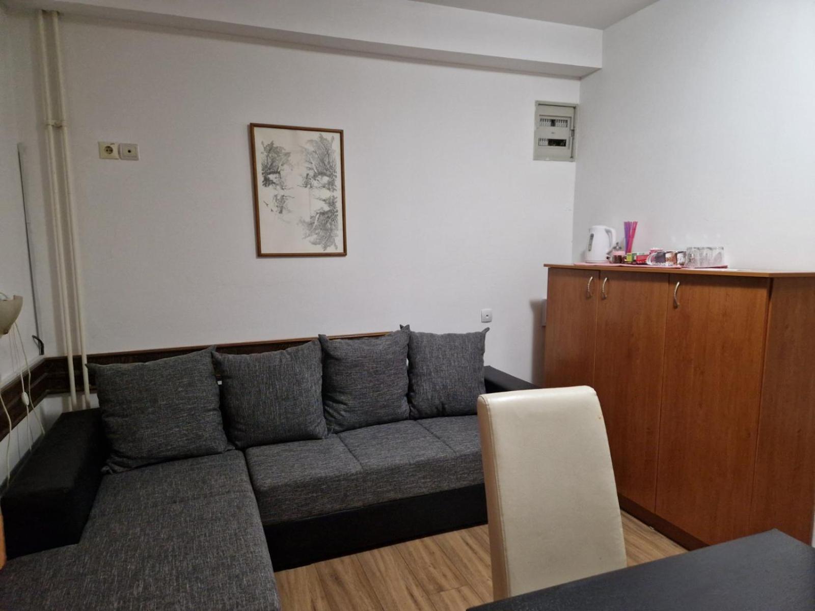 One-Bedroom Family Apartment