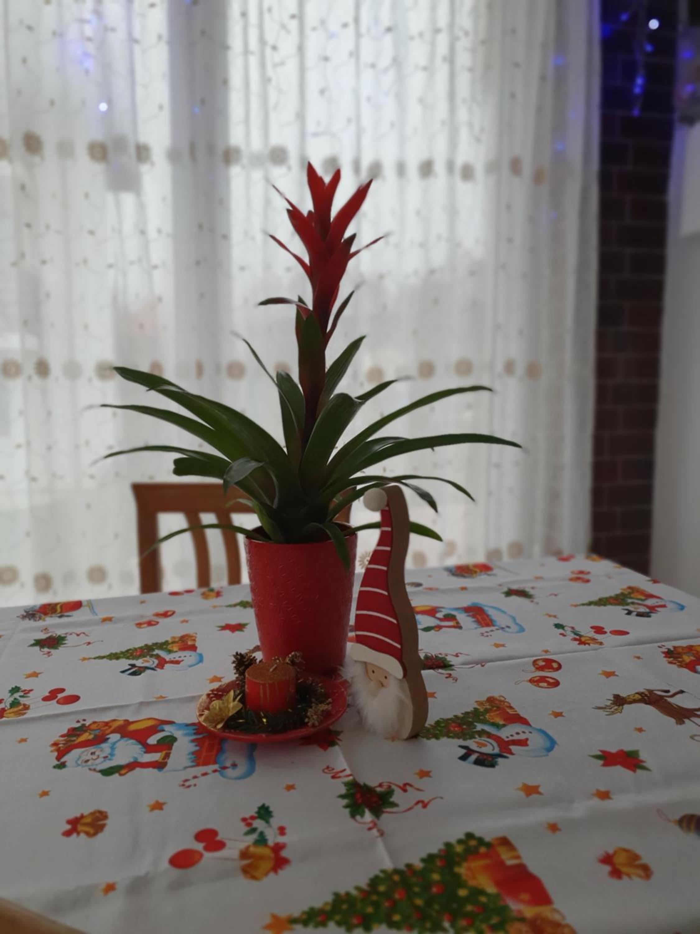 Double Room - Photo 33