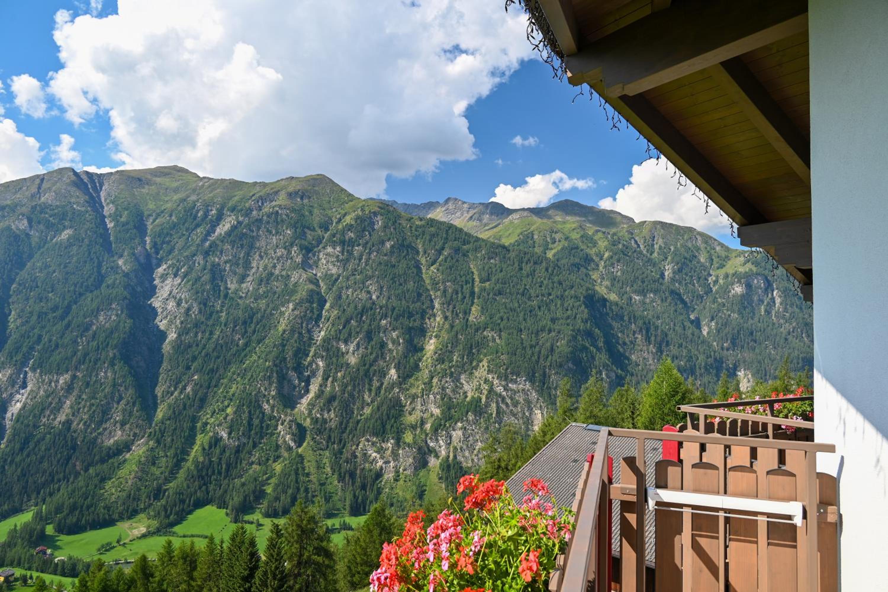 Double Room with Mountain View photo 2