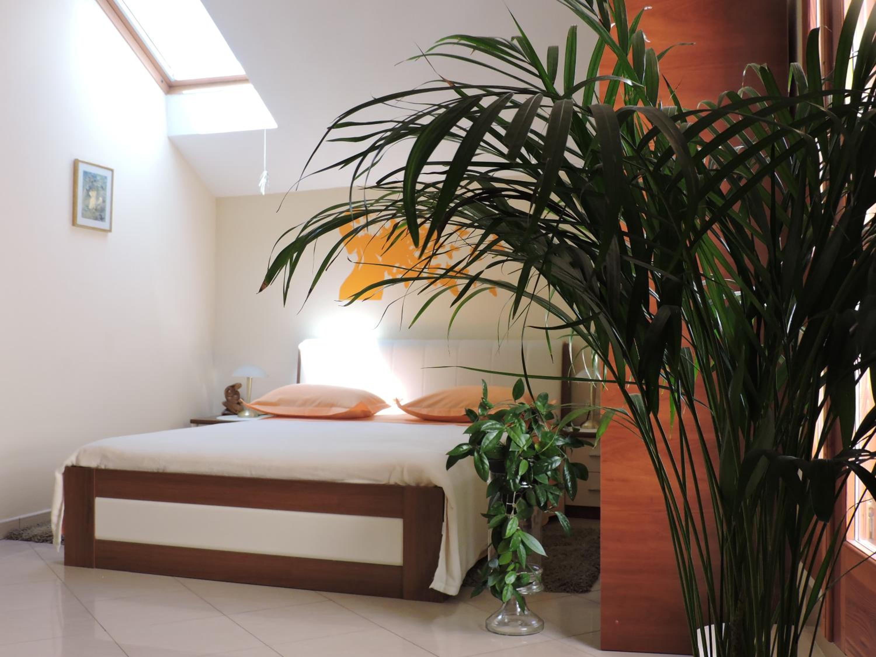 Family Studio with Private Terrace - Photo 13