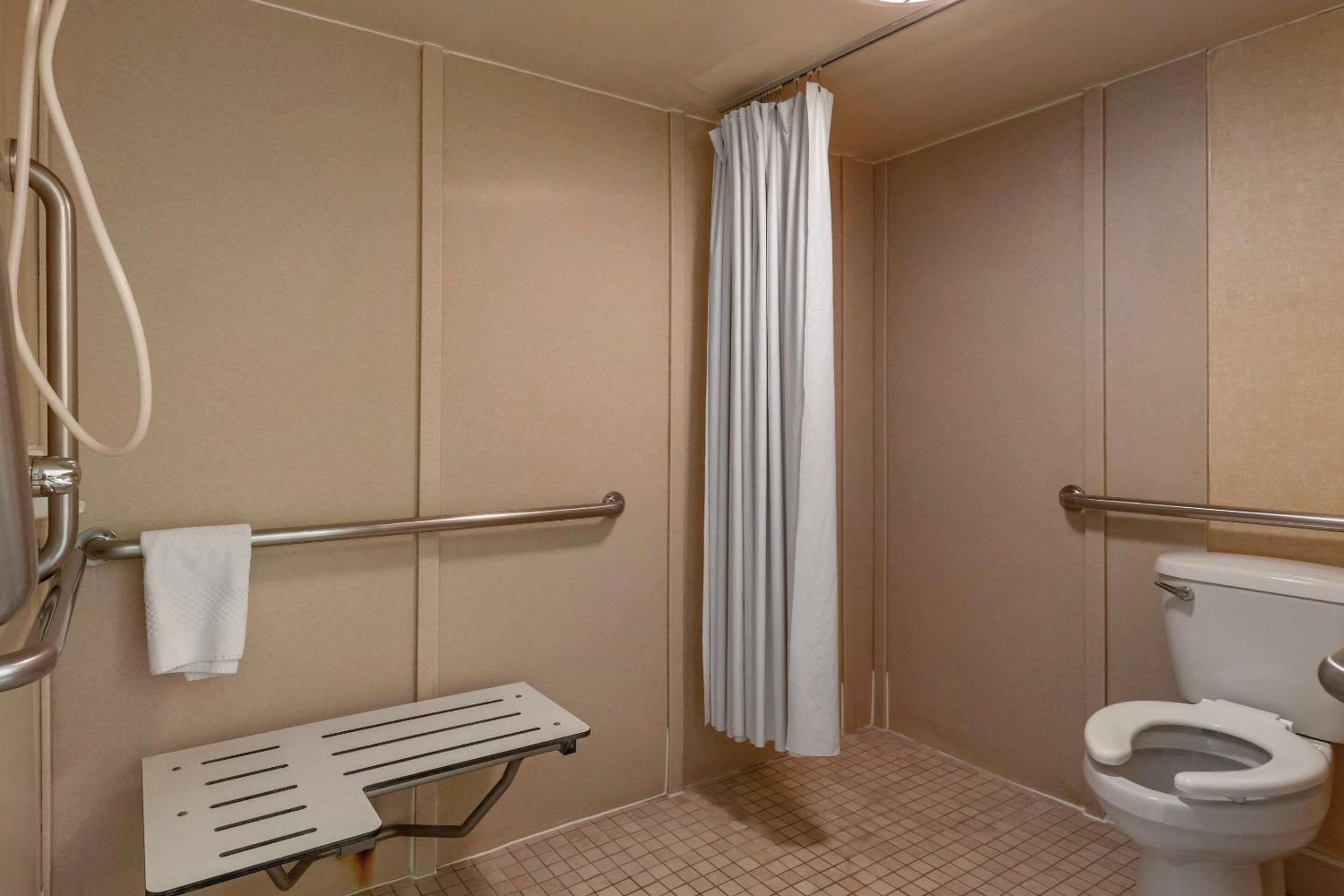 King Room with Roll-In Shower - Accessible/Non-Smoking - Photo 4