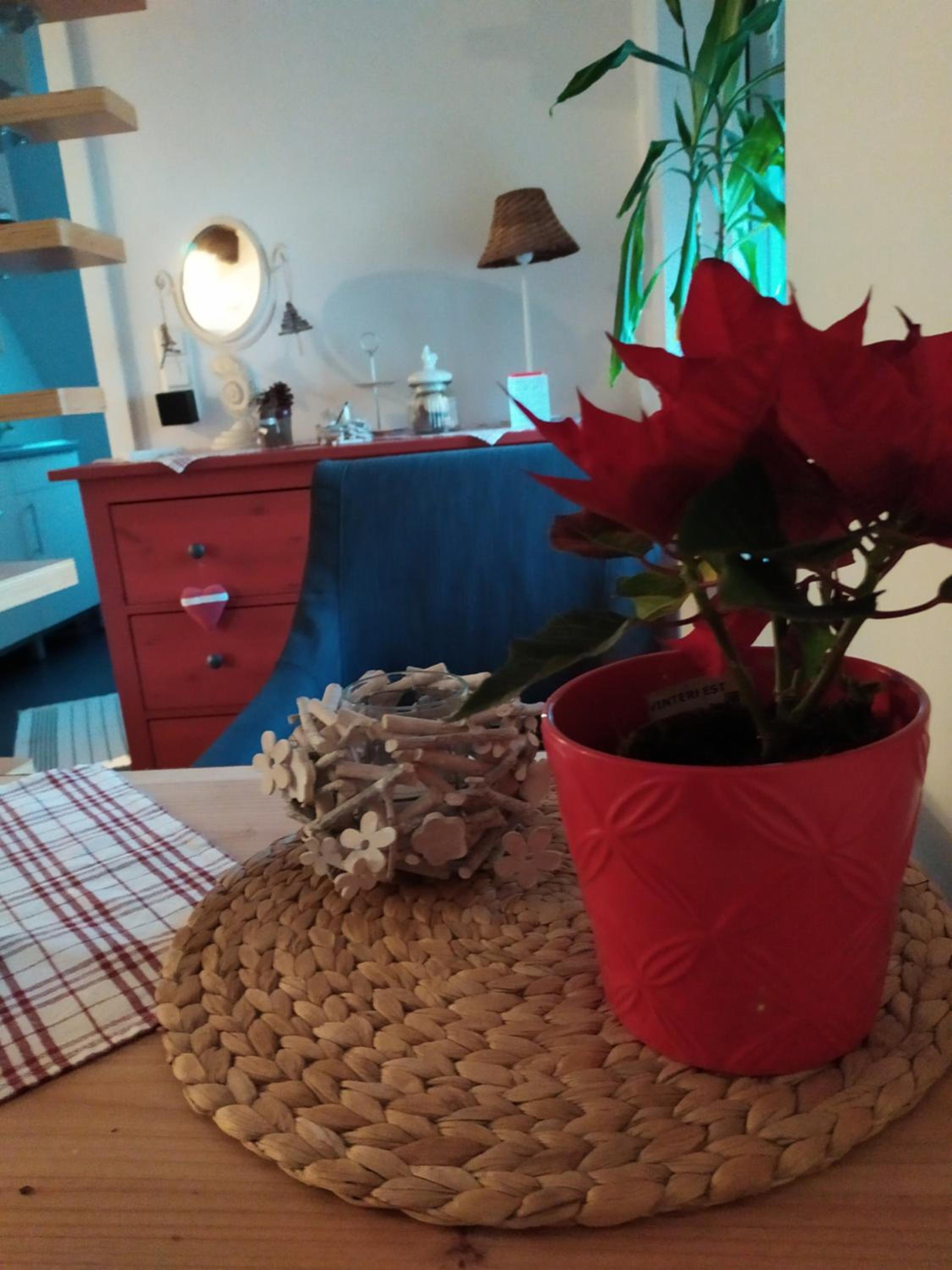 Studio - Split Level - Photo 5