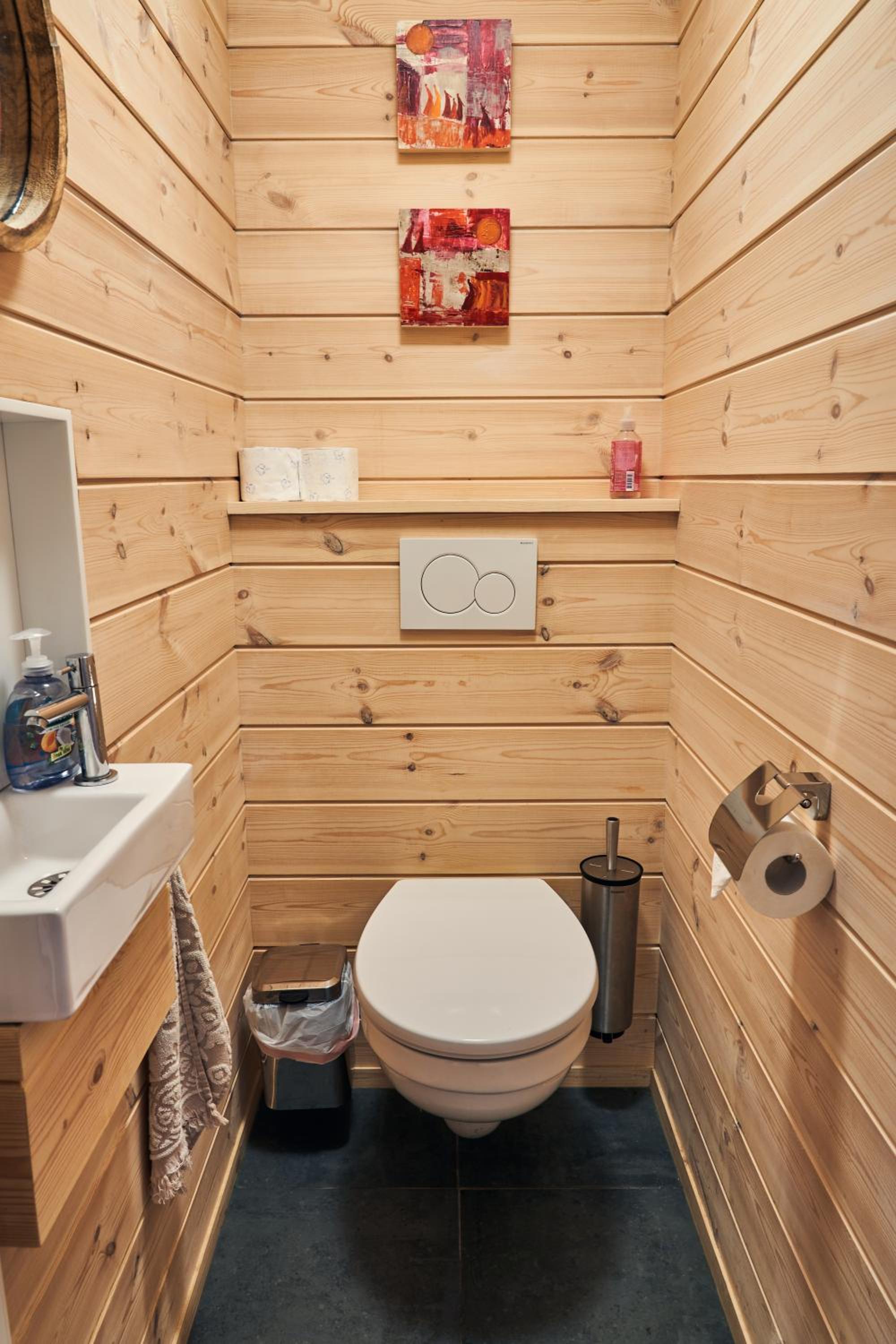 Three-Bedroom Chalet photo 3