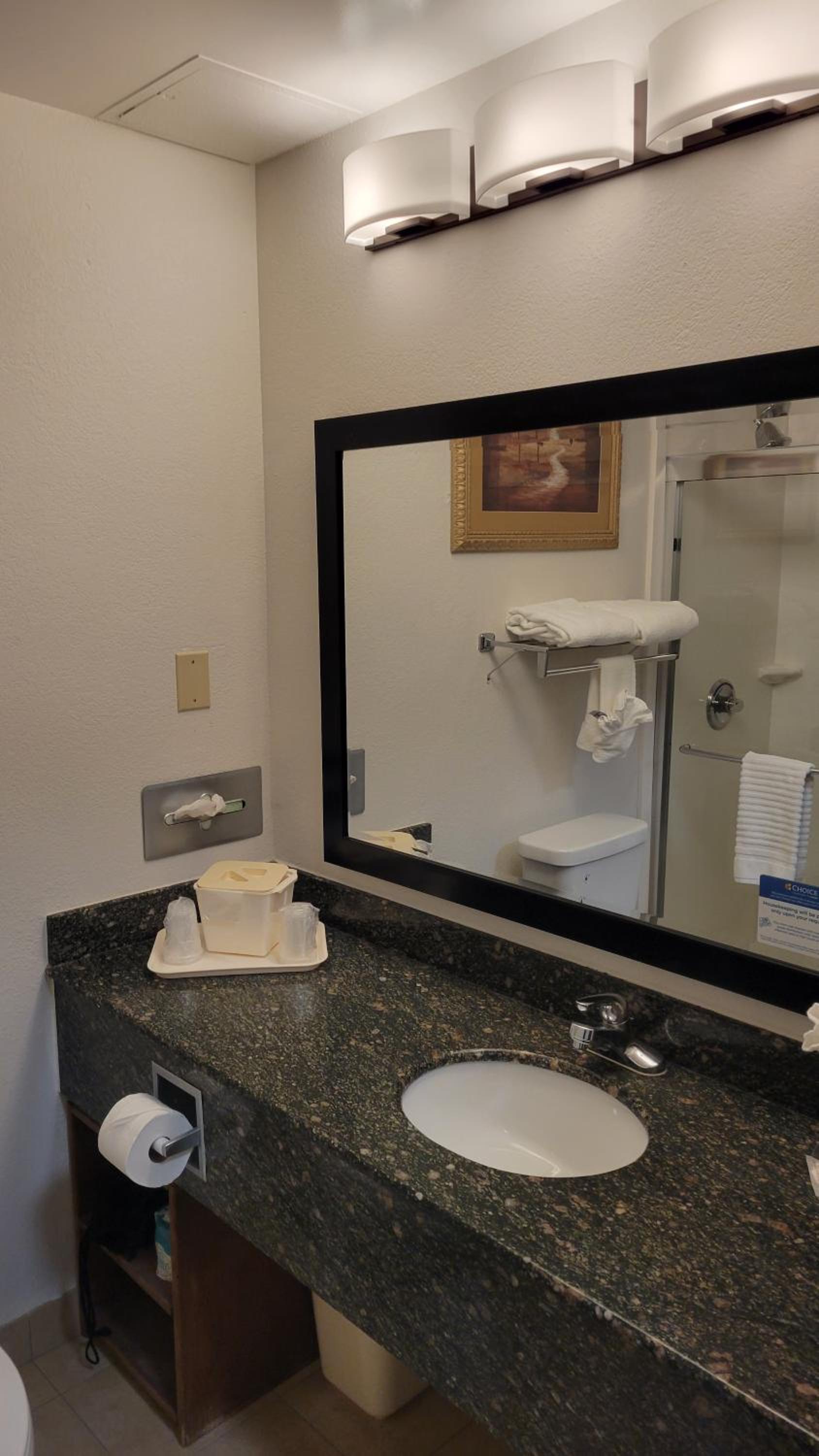 Comfort Suites Cumming-Atlanta near Northside Hospital Forsyth, Zdjęcie 13