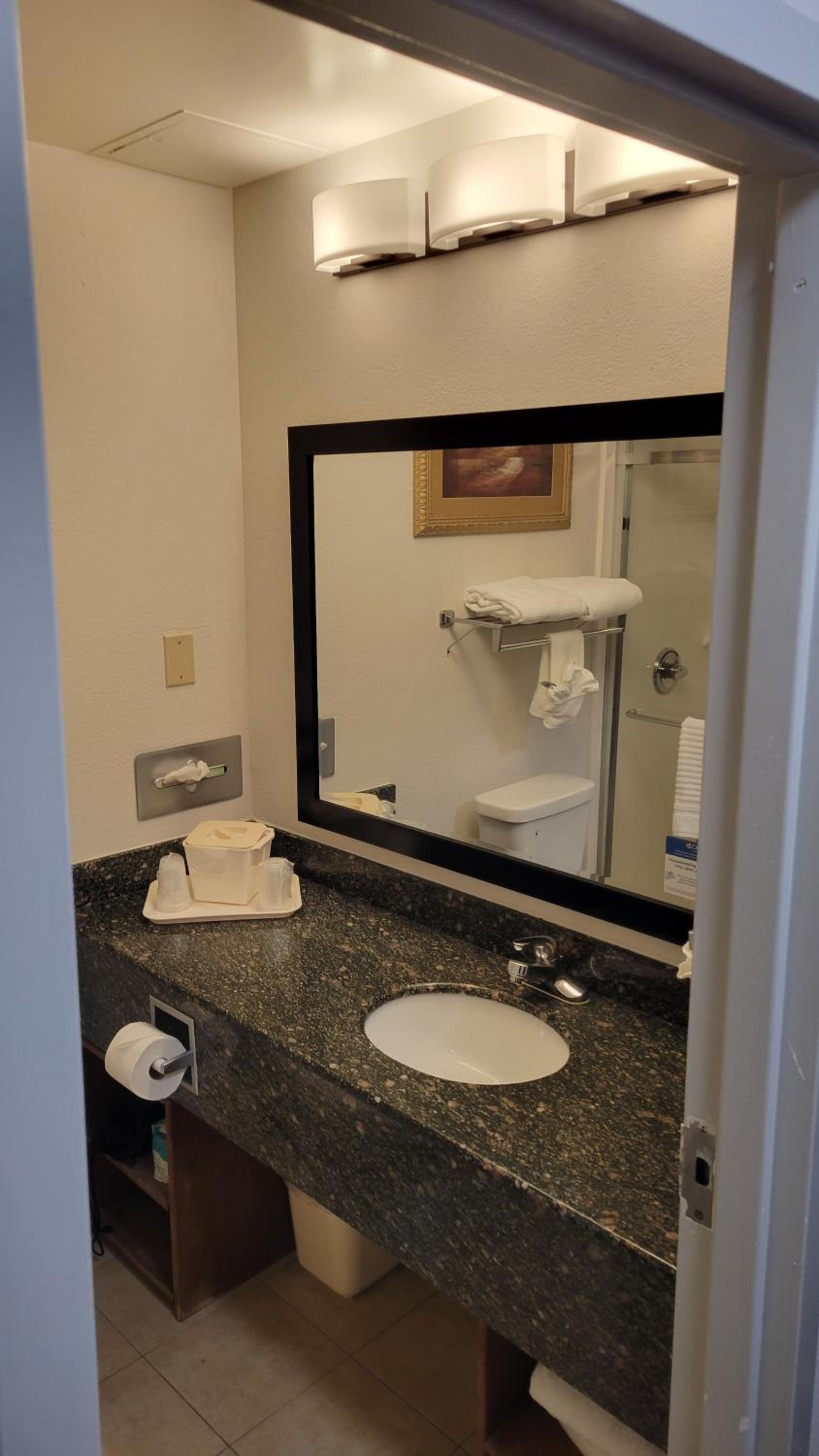 Comfort Suites Cumming-Atlanta near Northside Hospital Forsyth, Zdjęcie 6