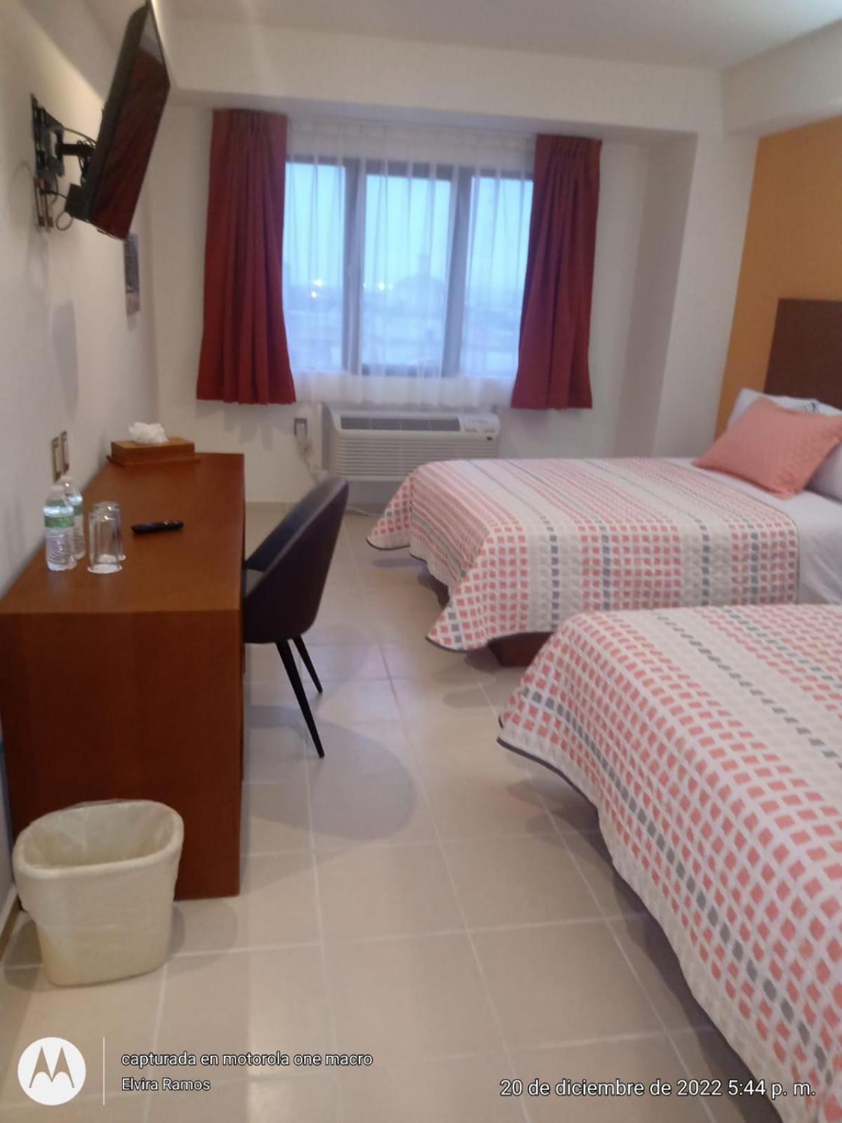 Deluxe Double or Twin Room photo 1