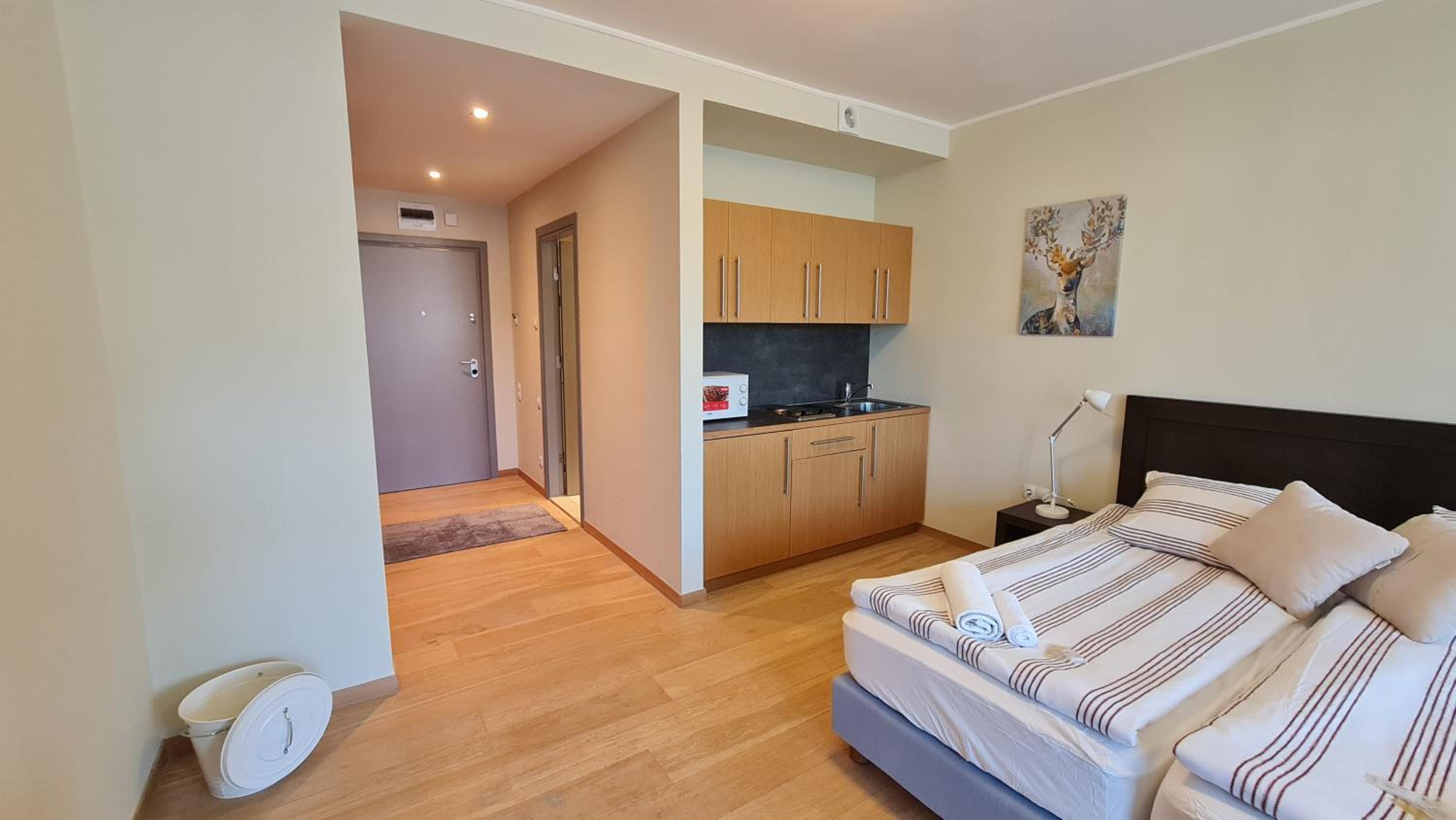 Studio Apartment photo 3