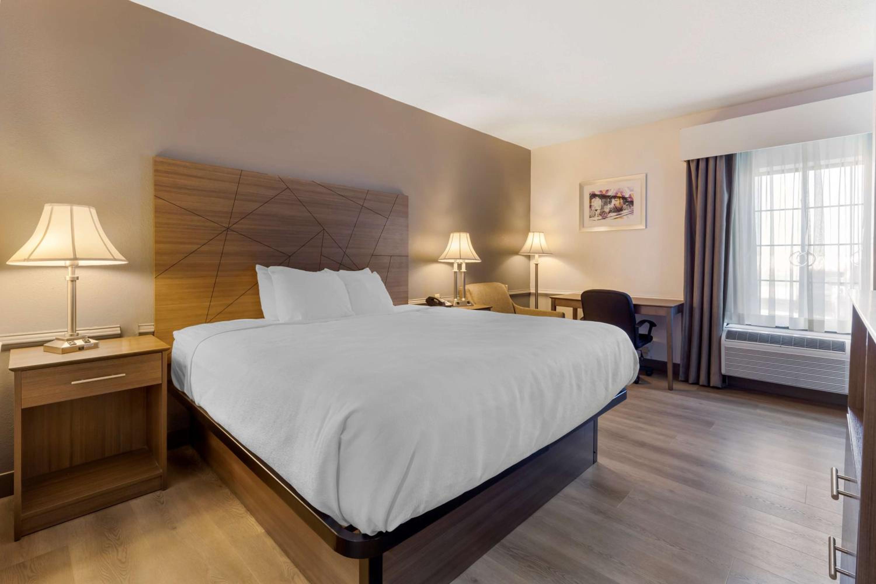 King Room with Roll-in Shower - Disability Access/Non-Smoking - Photo 2