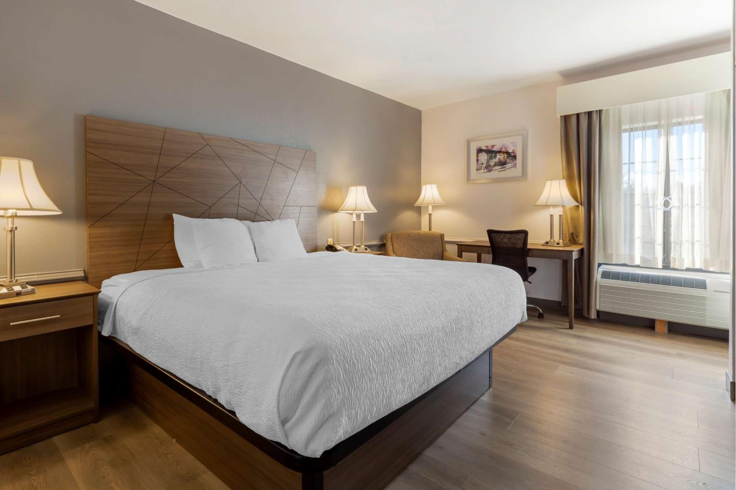 King Room - Non-Smoking - Photo 1