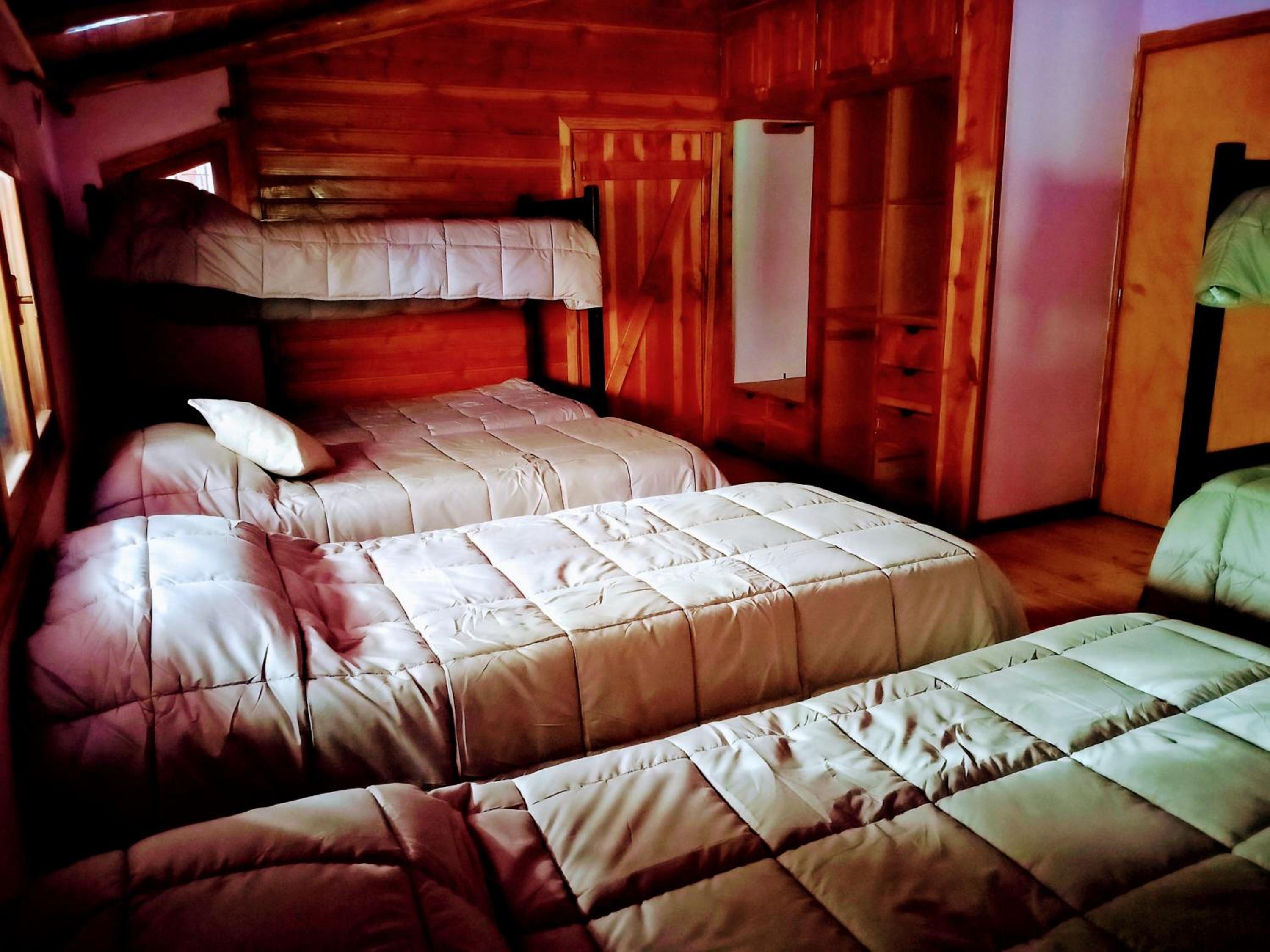 Single Bed In Mixed Dormitory Room photo 1