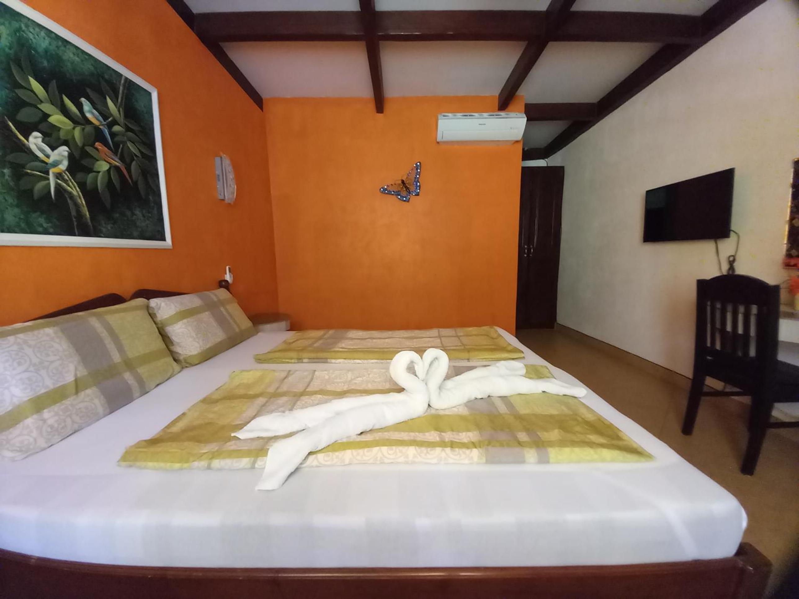 Deluxe Double Room photo 3