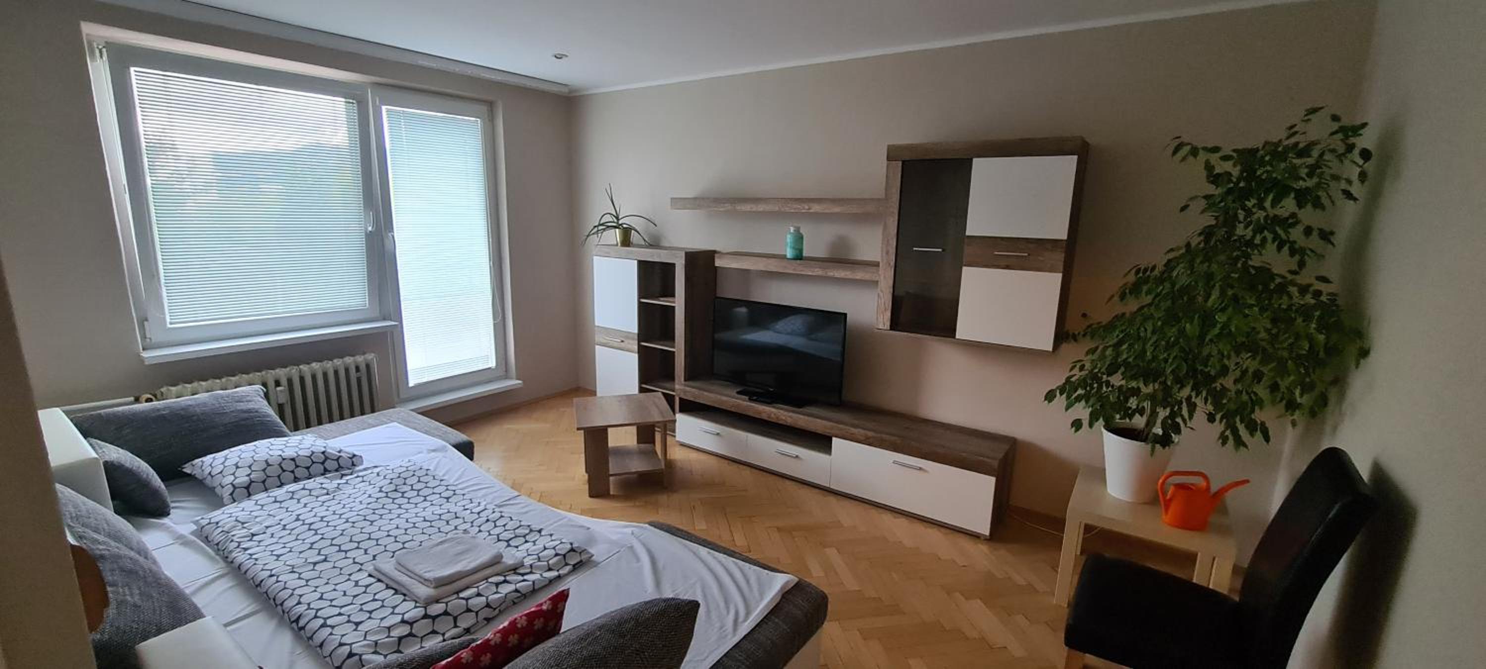 One-Bedroom Apartment