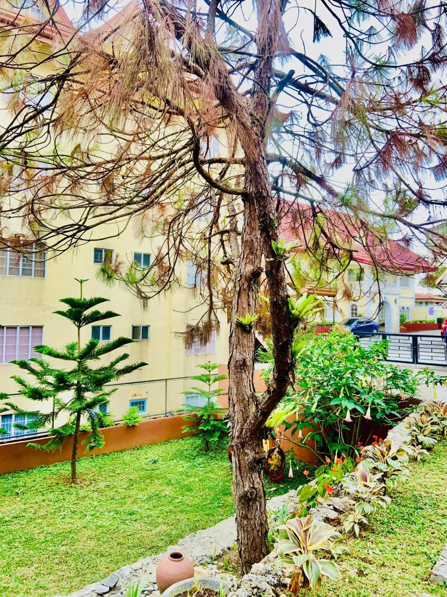 Apartment - Ground Floor