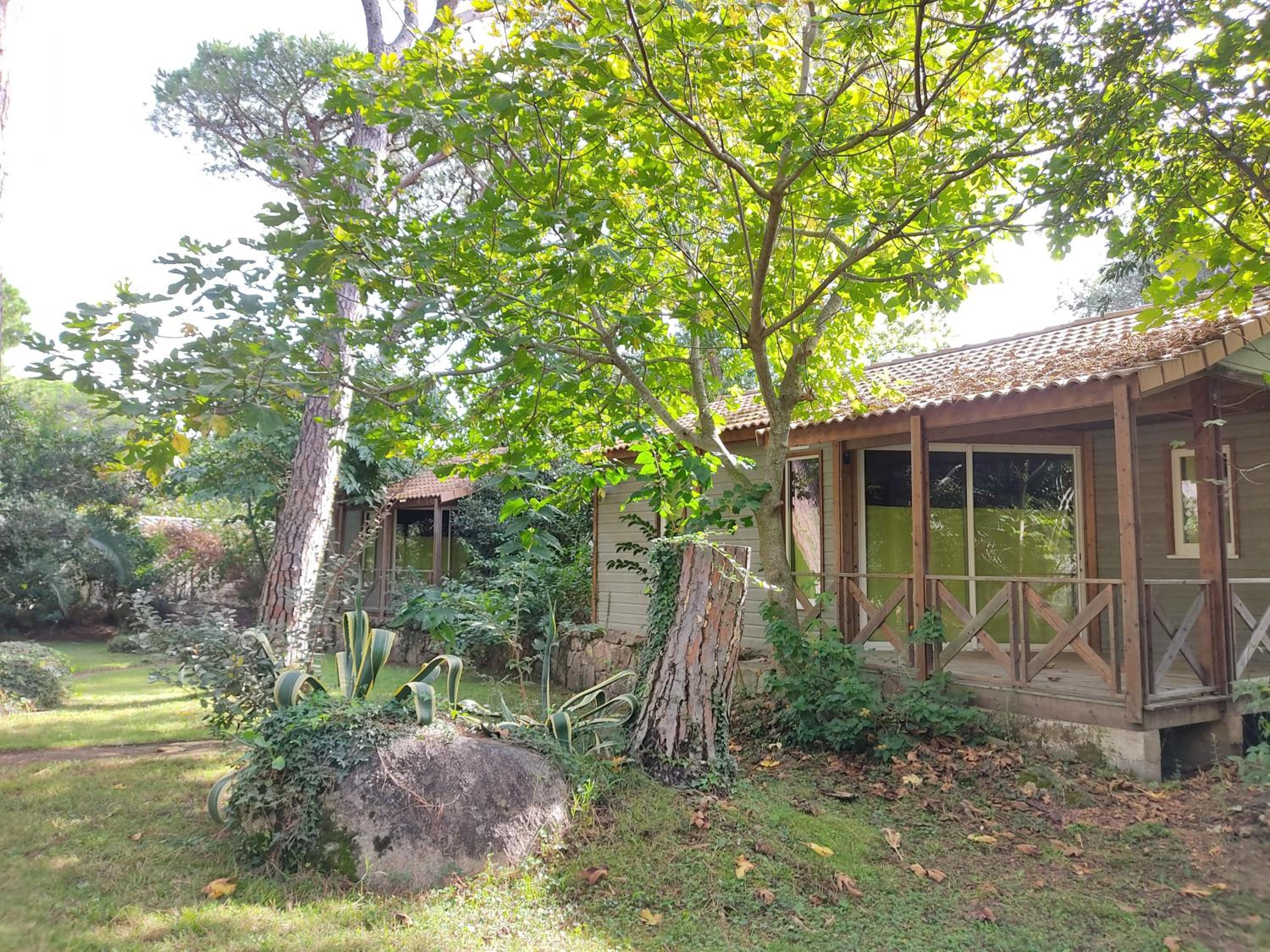 Two-Bedroom Chalet photo 1