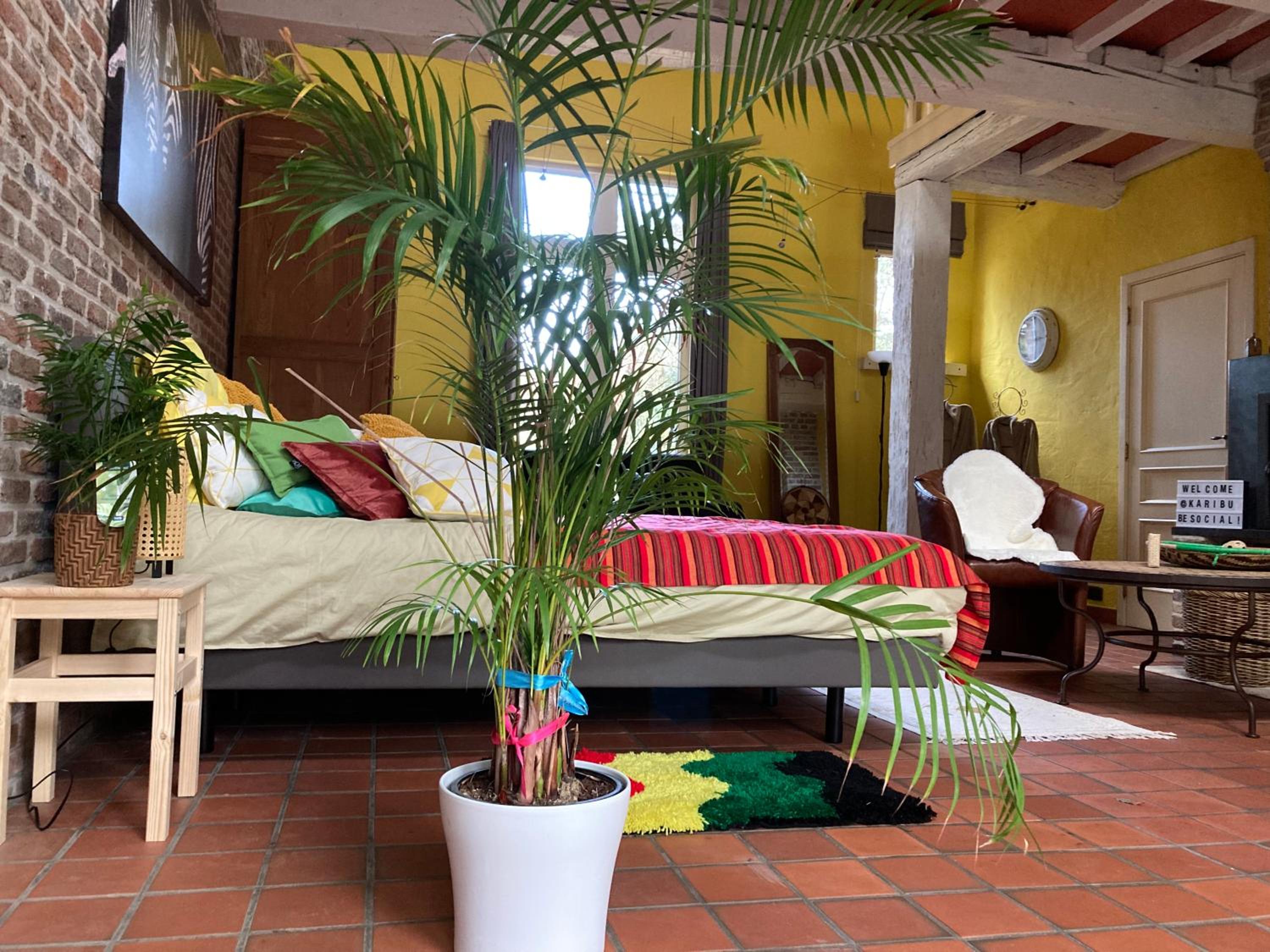 King Room with Garden View
