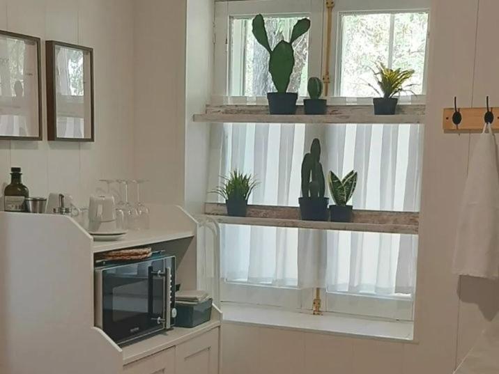 One-Bedroom House - Photo 23