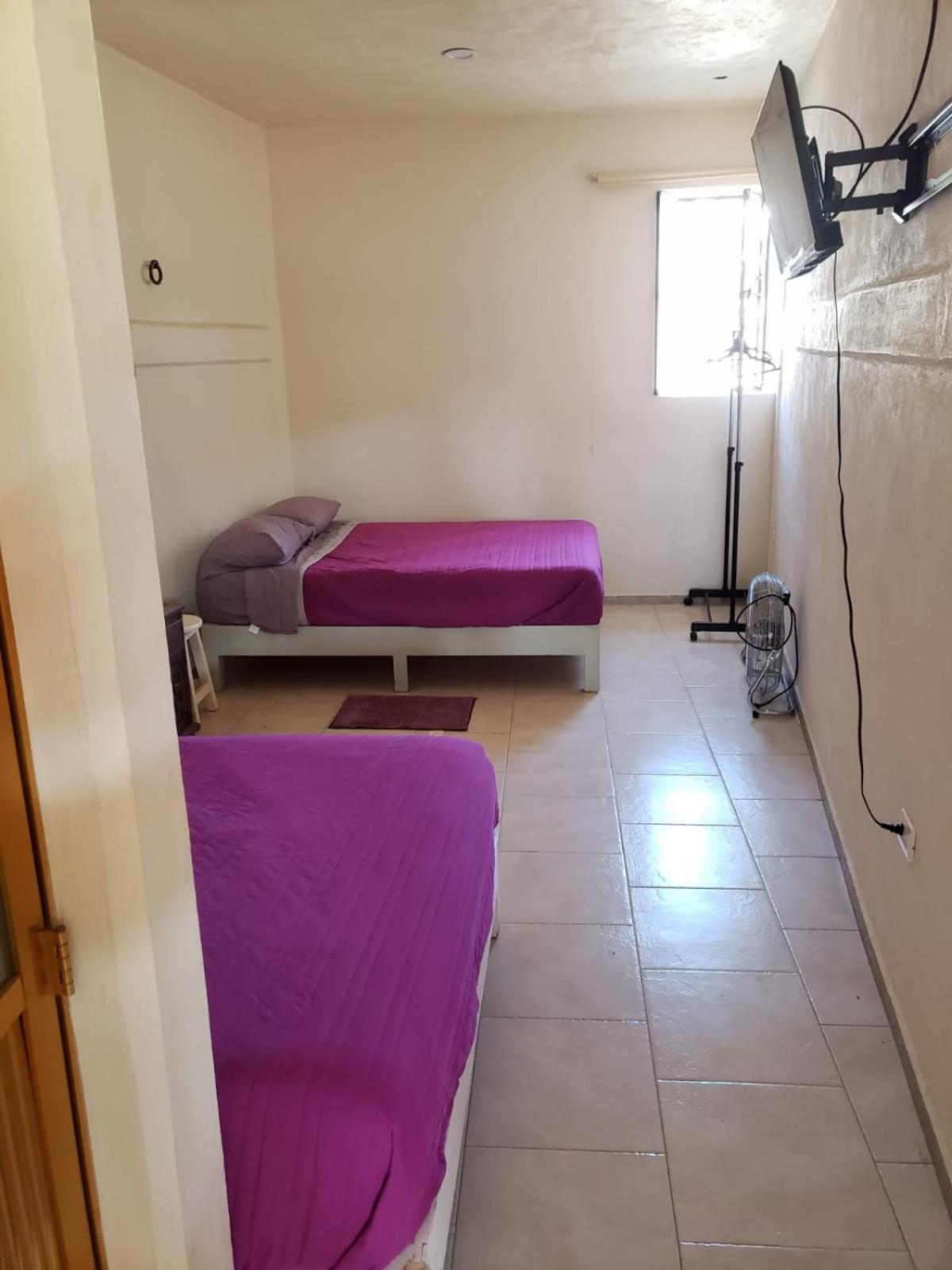 Twin Room photo 3
