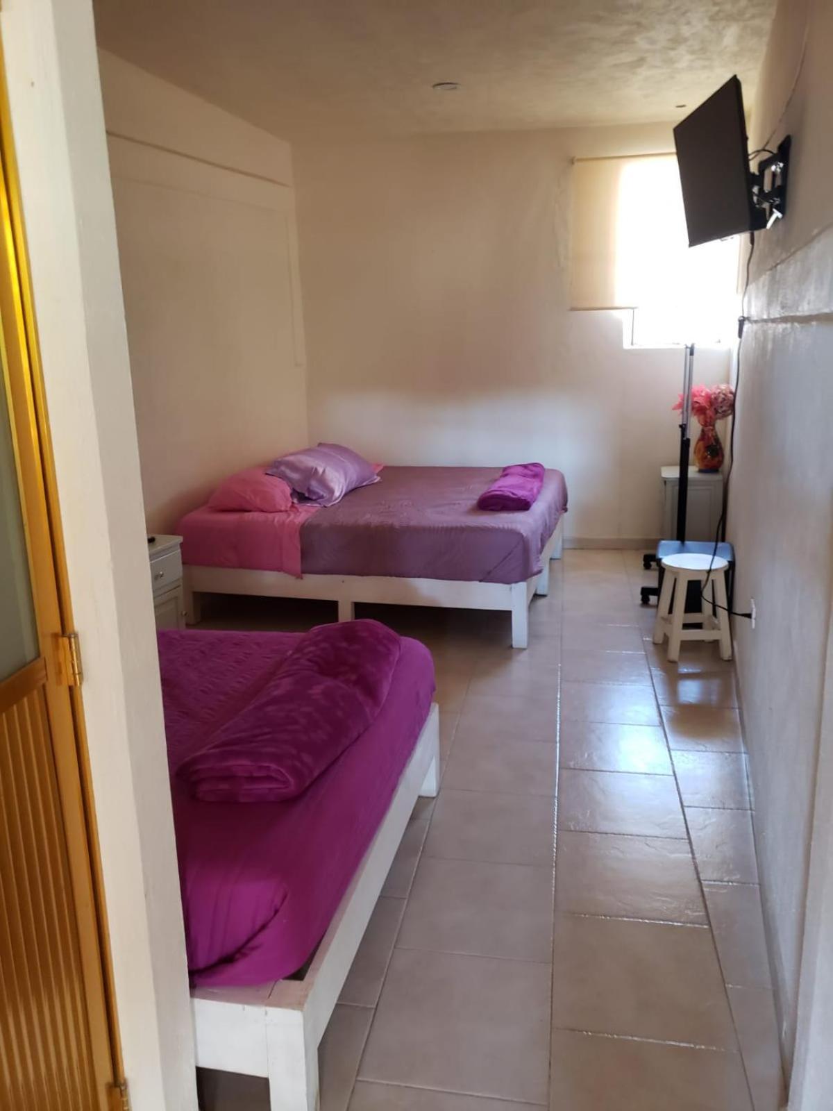 Twin Room photo 2