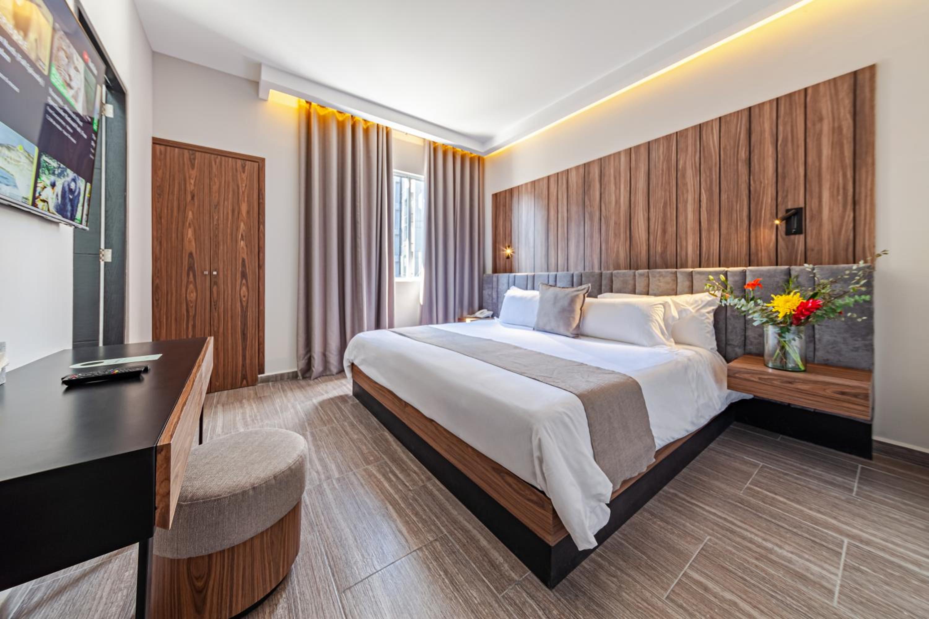 Superior Suite - Photo 1