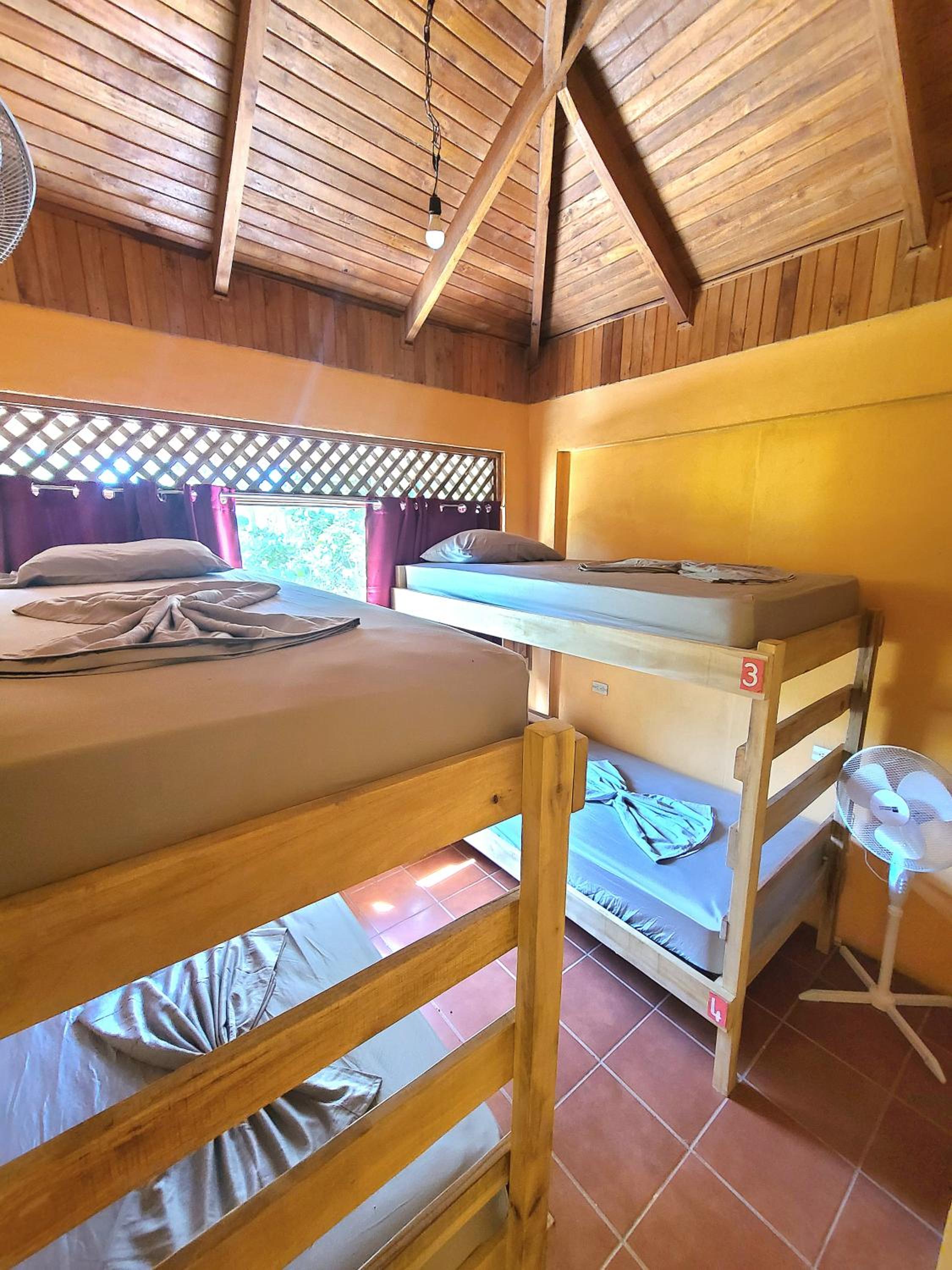 4-Bed Mixed Dormitory Room photo 3