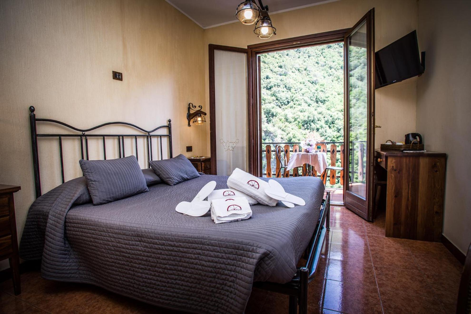 Deluxe Double or Twin Room with River View photo 2