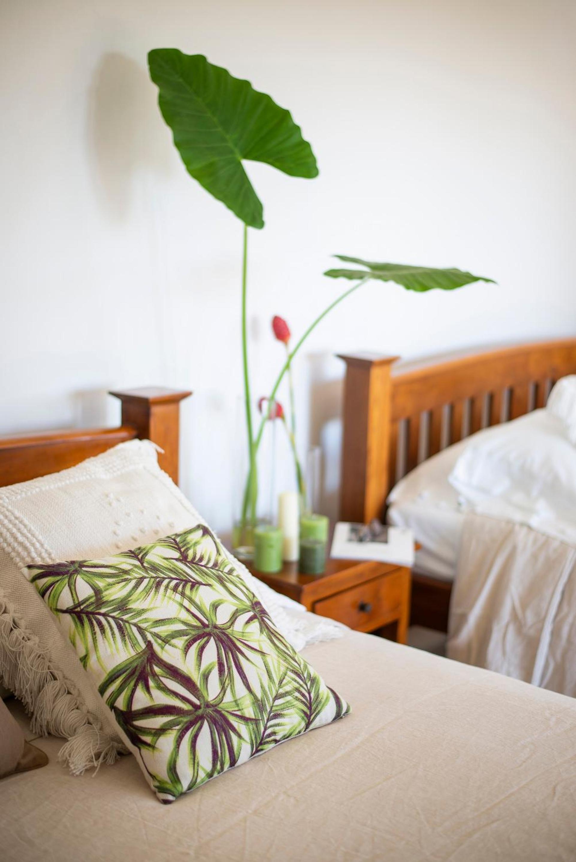 Vista Double Suite photo 1