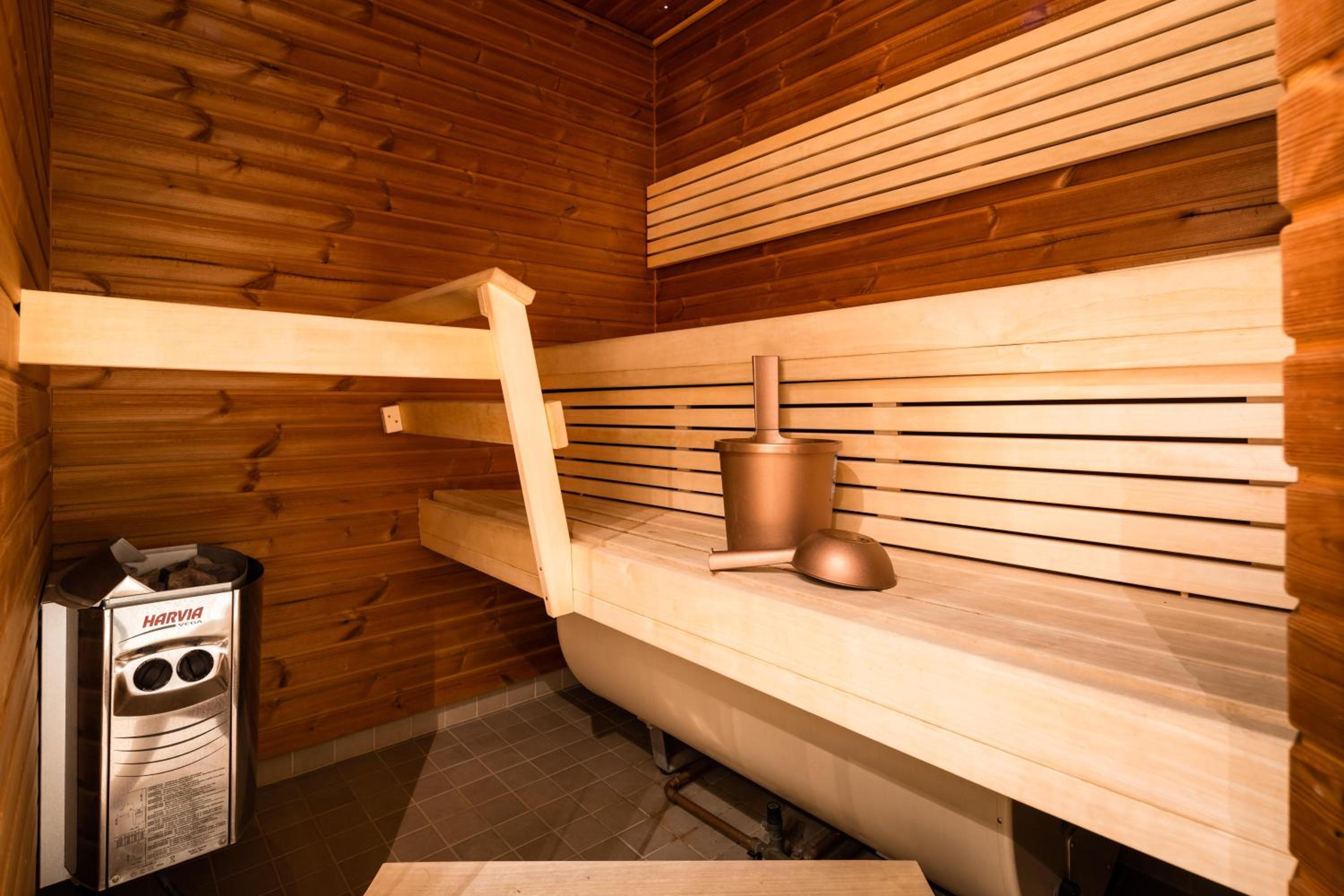 One-Bedroom Alp Apartment with Sauna - Photo 7