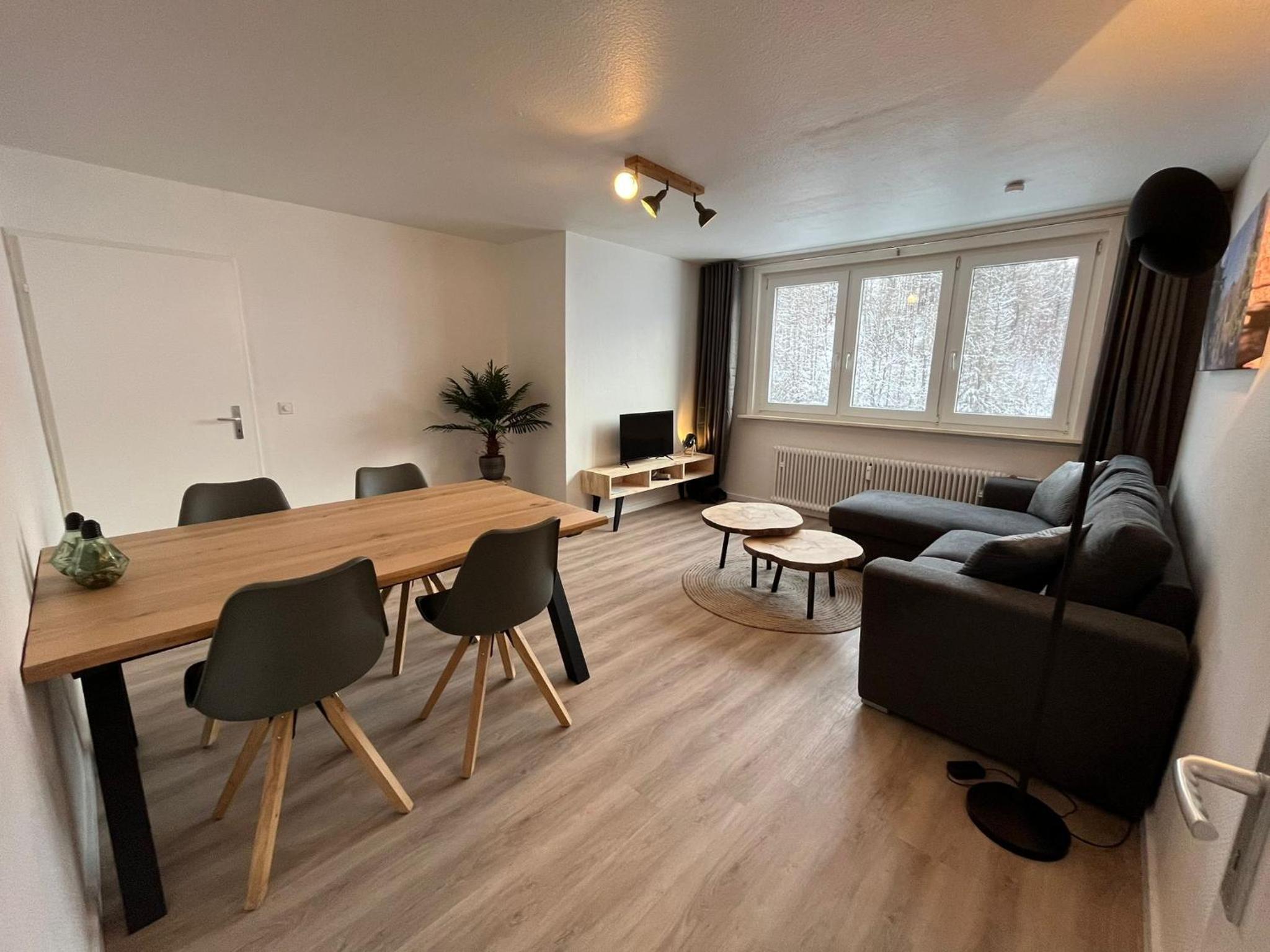 Apartment with Mountain View photo 3