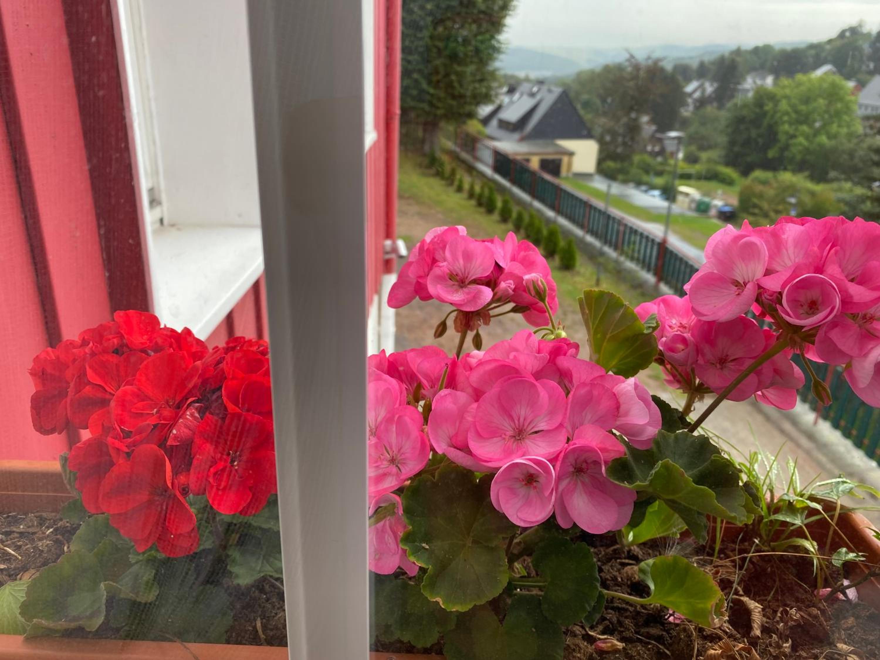 Double Room with Balcony photo 2