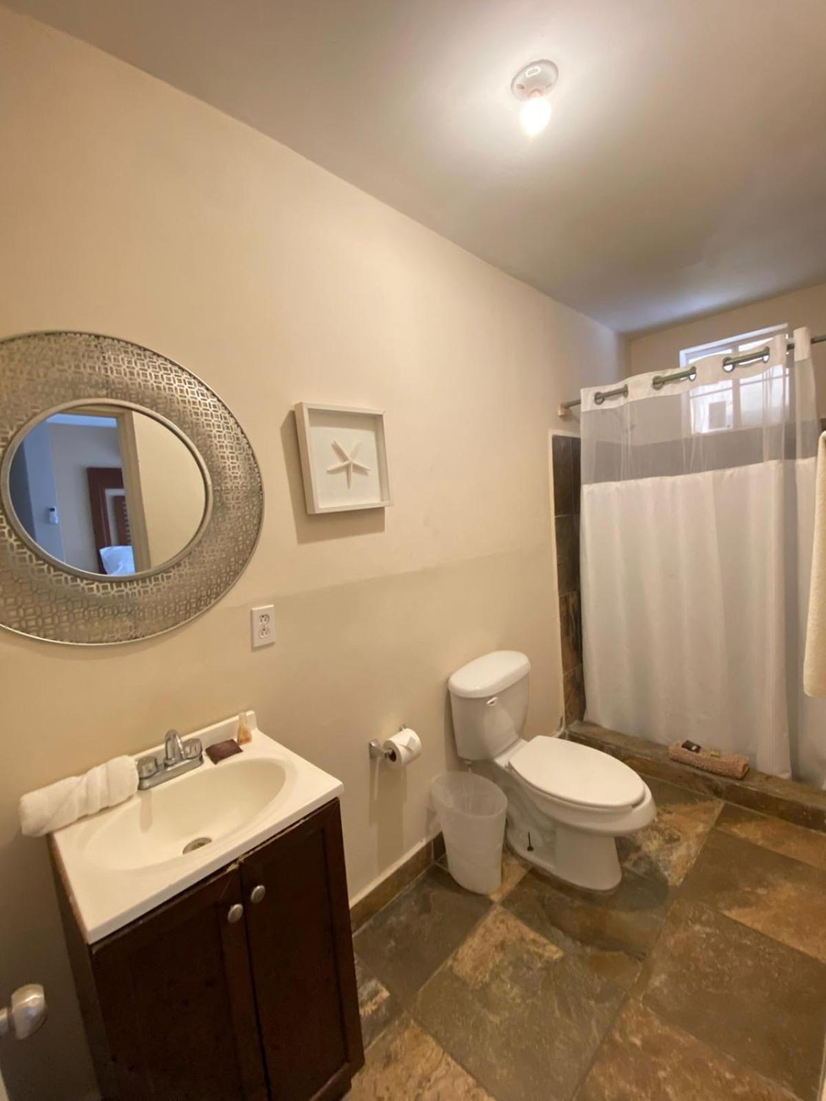 Single Queen Room with sofa bed