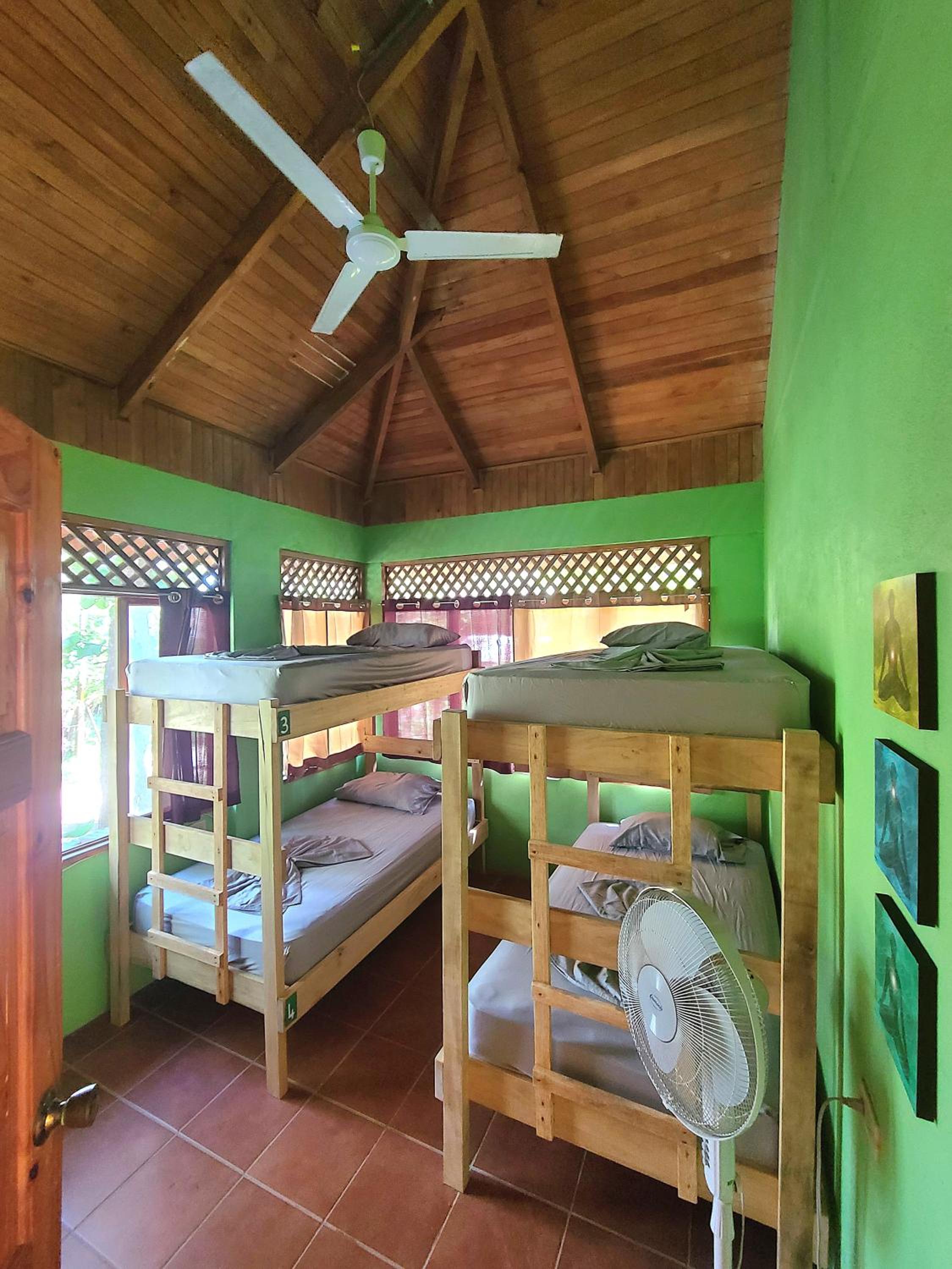 4-Bed Mixed Dormitory Room photo 2