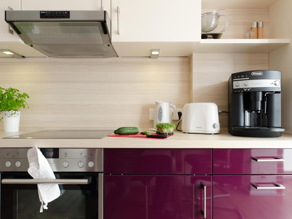 Superior Apartment with Sauna photo 3