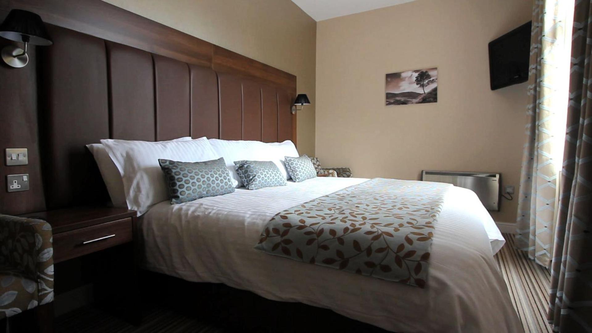Suite - Photo 1